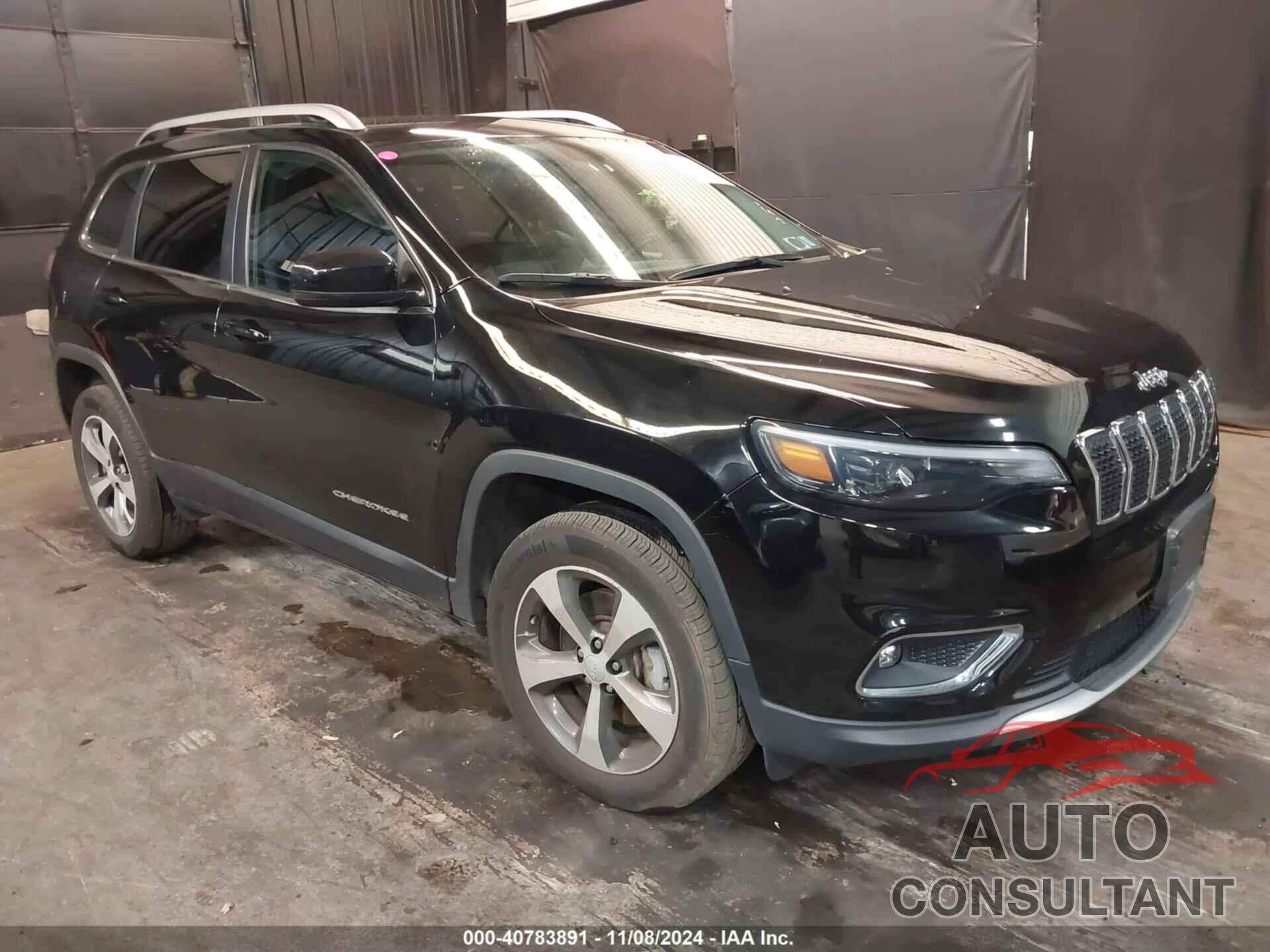 JEEP CHEROKEE 2019 - 1C4PJMDX1KD431341