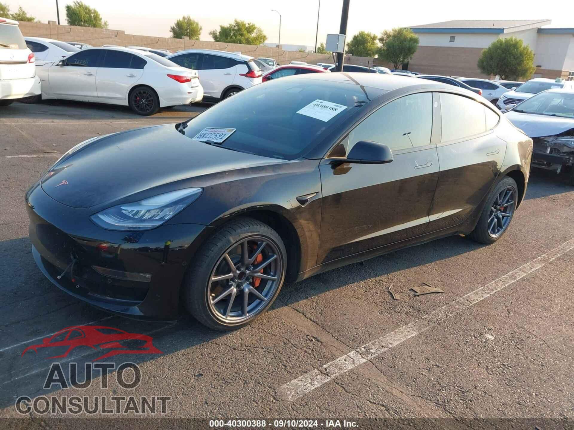 TESLA MODEL 3 2019 - 5YJ3E1EA1KF196895