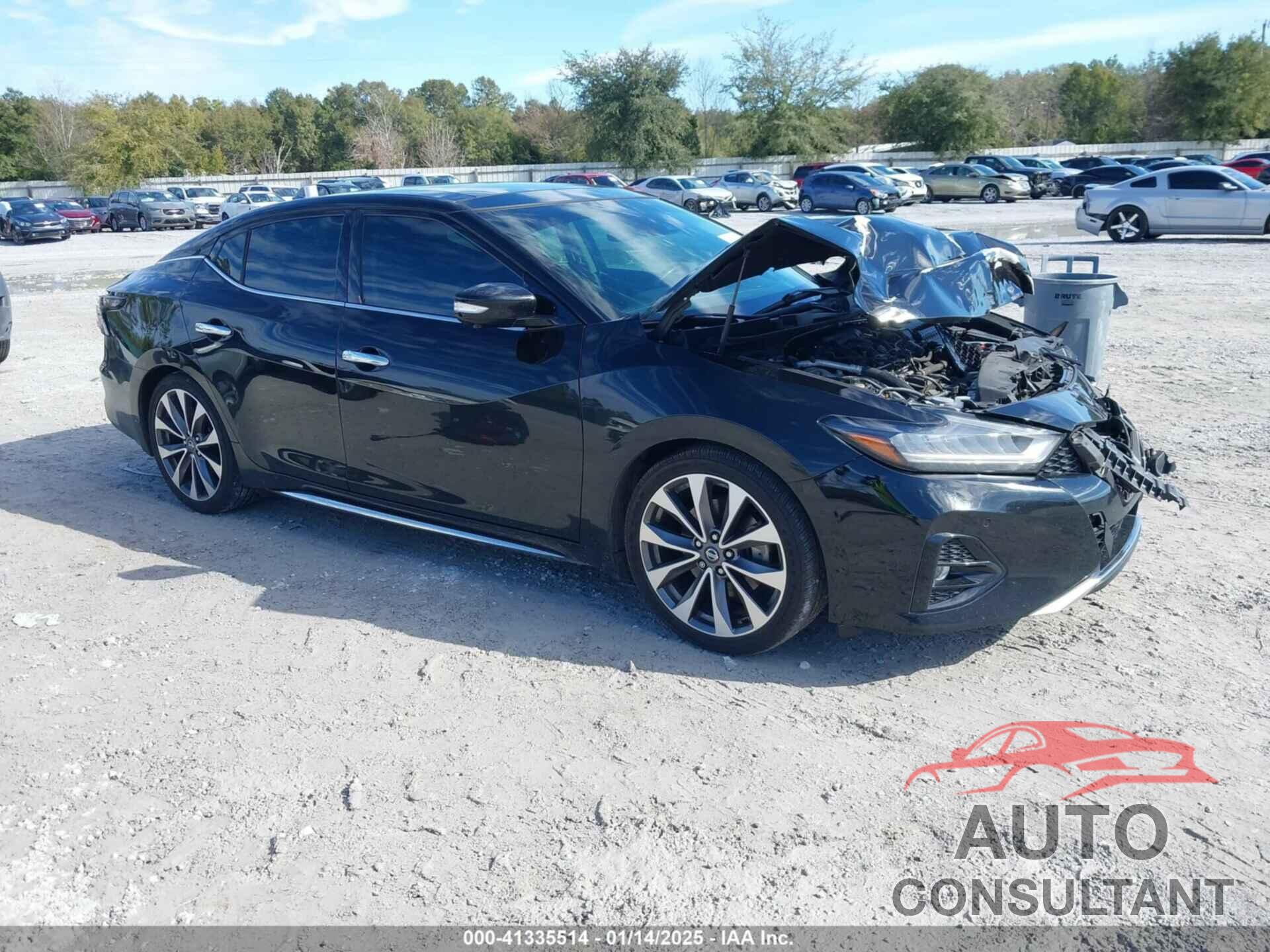 NISSAN MAXIMA 2019 - 1N4AA6AV0KC380382