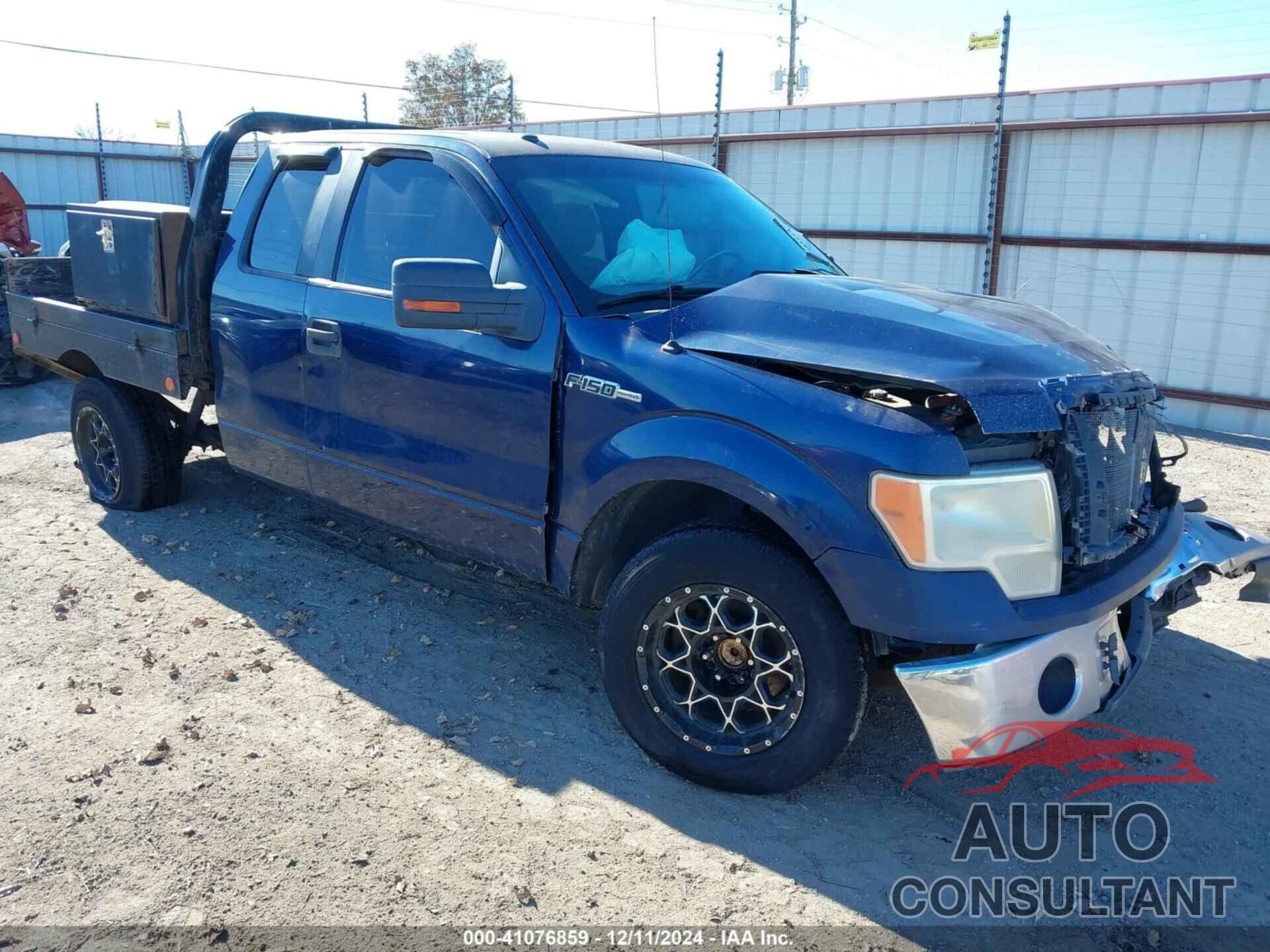 FORD F-150 2009 - 1FTRX12V79KB58287