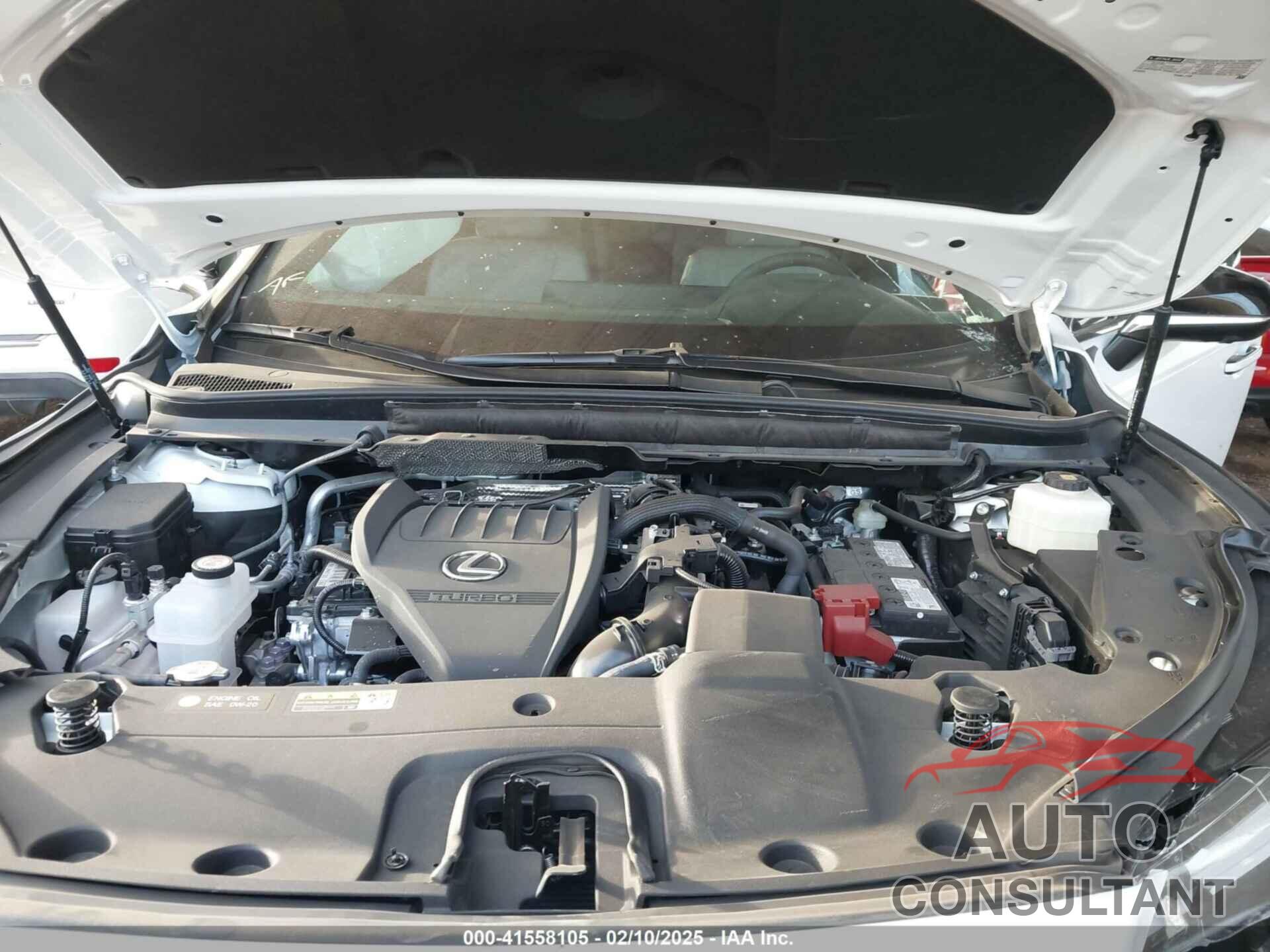 LEXUS RX 350 2025 - 2T2BAMCA7SC093752