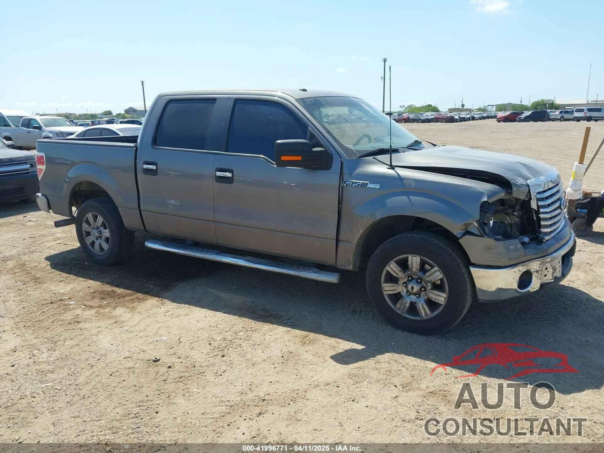 FORD F-150 2010 - 1FTFW1CV3AFD03701