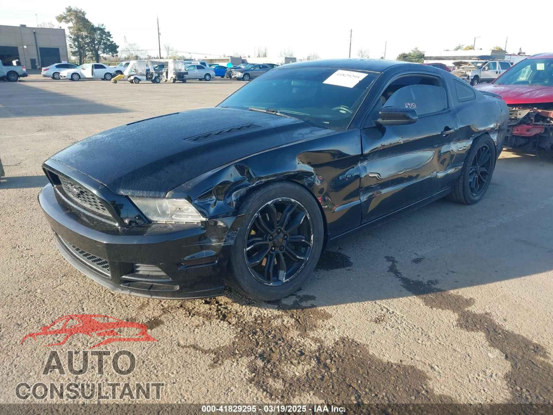 FORD MUSTANG 2013 - 1ZVBP8CFXD5284486