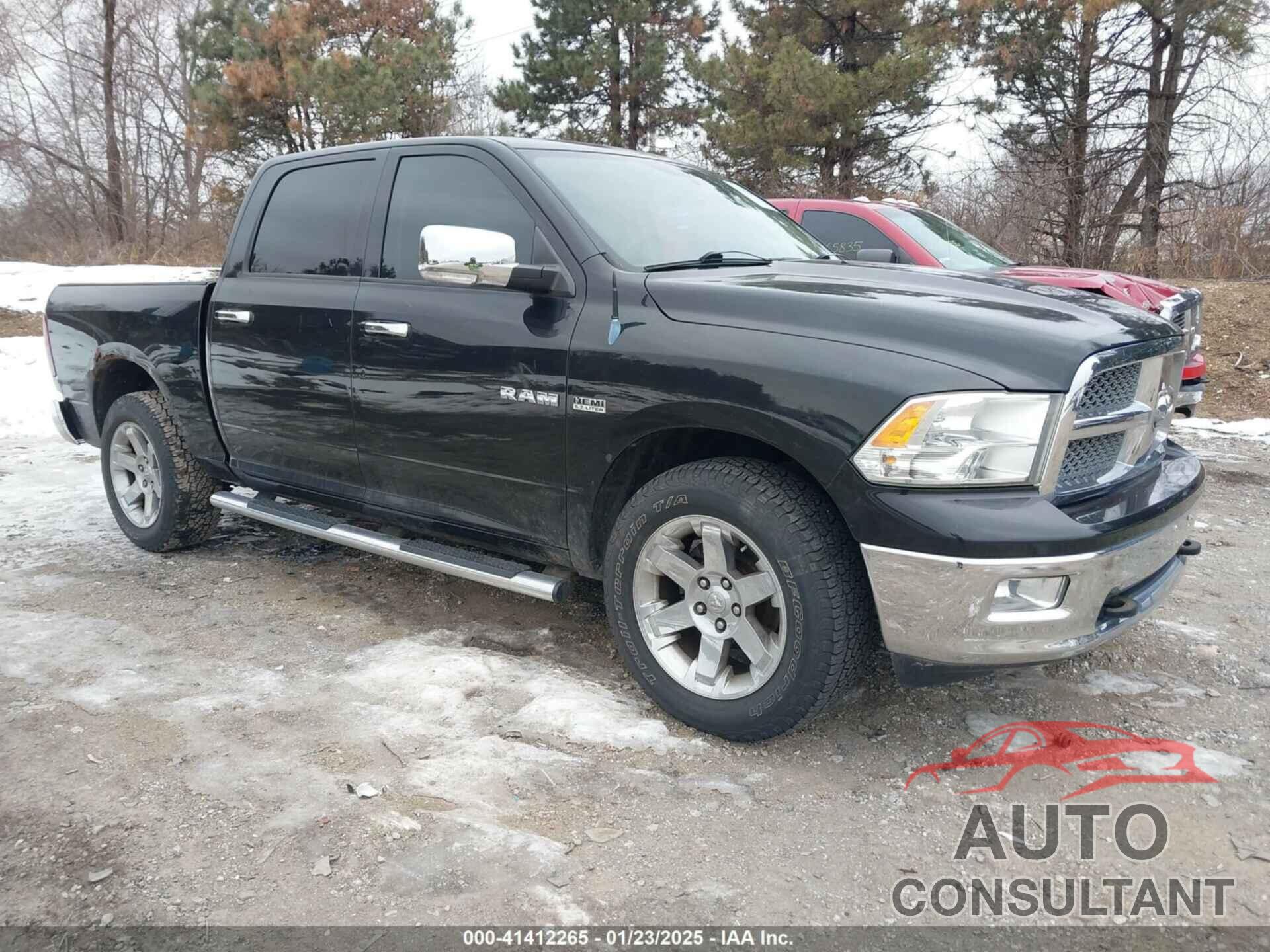 DODGE RAM 1500 2010 - 1D7RV1CTXAS255030