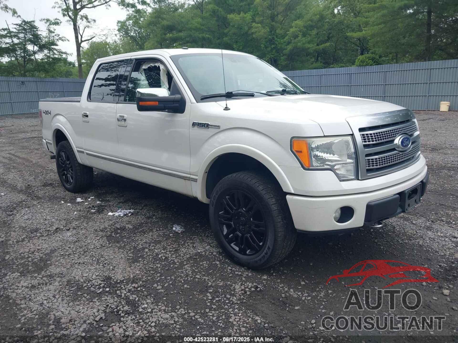 FORD F-150 2010 - 1FTFW1EV6AFA35305