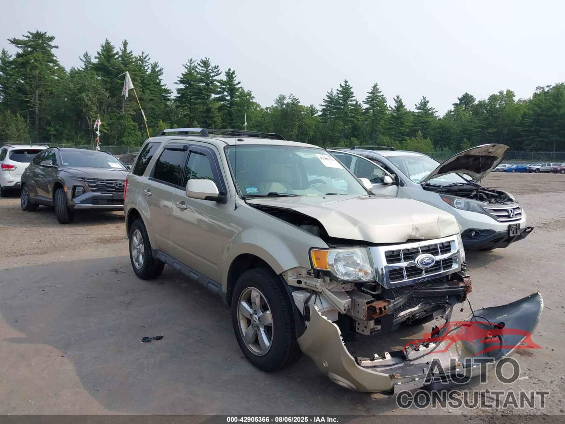 FORD ESCAPE 2011 - 1FMCU9EG0BKB69899