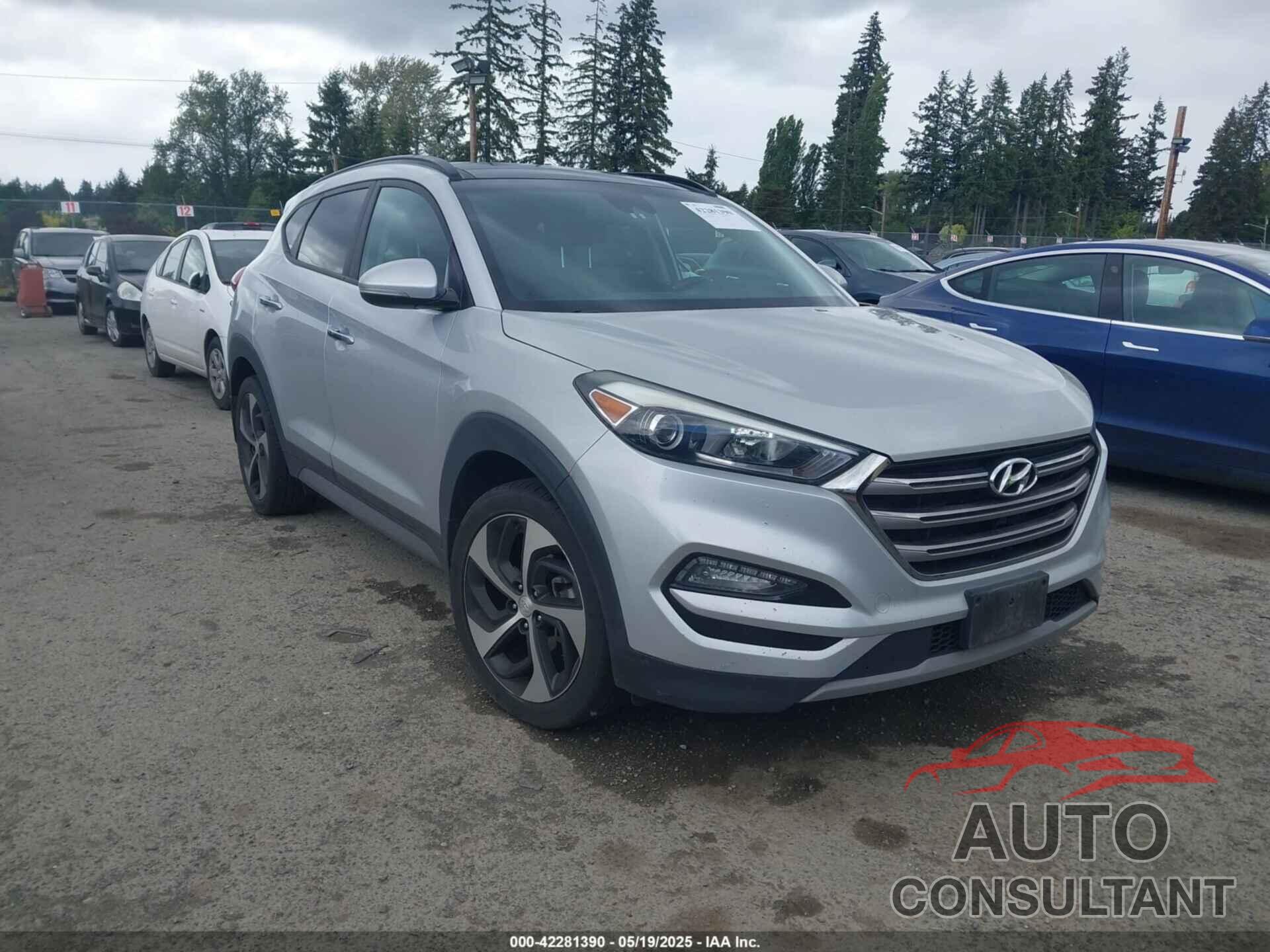 HYUNDAI TUCSON 2017 - KM8J33A29HU351910