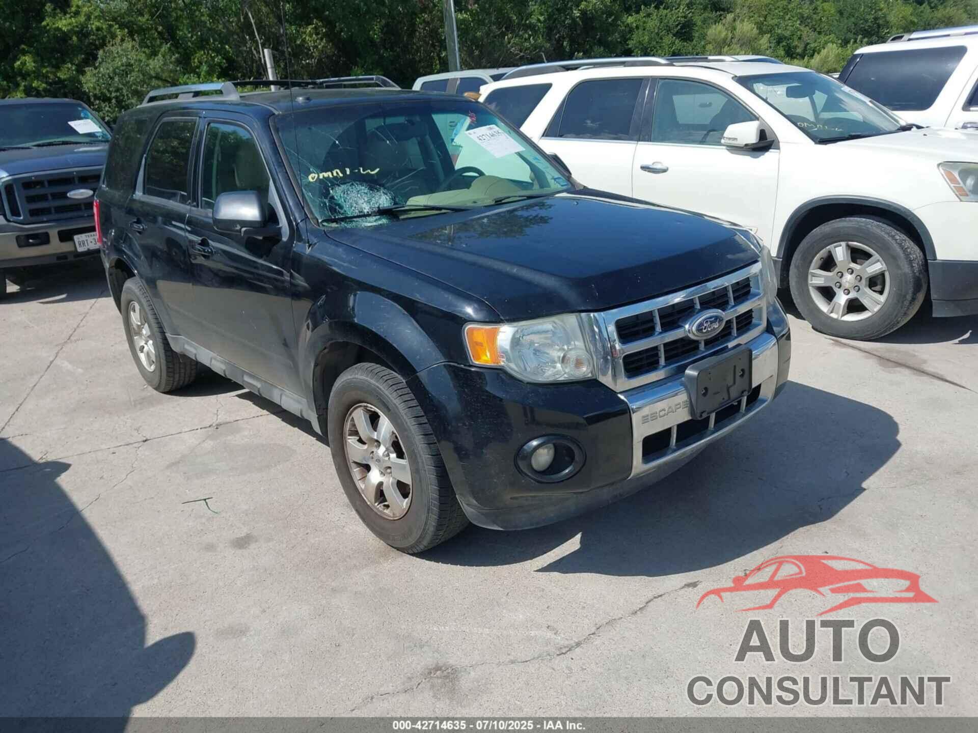 FORD ESCAPE 2010 - 1FMCU0E76AKB92517