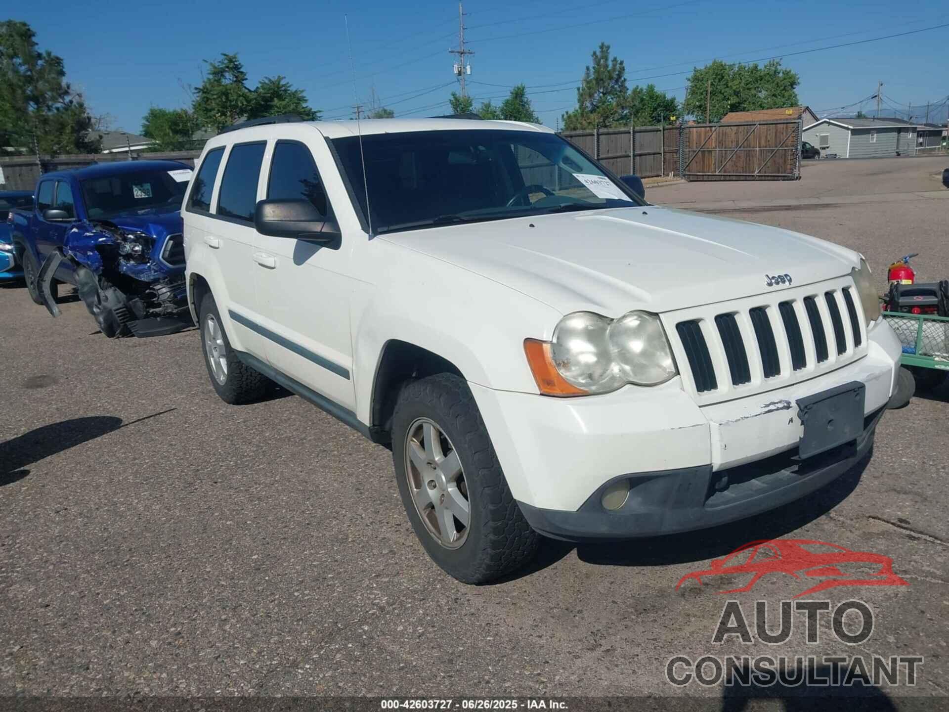 JEEP GRAND CHEROKEE 2009 - 1J8HR48P69C552639