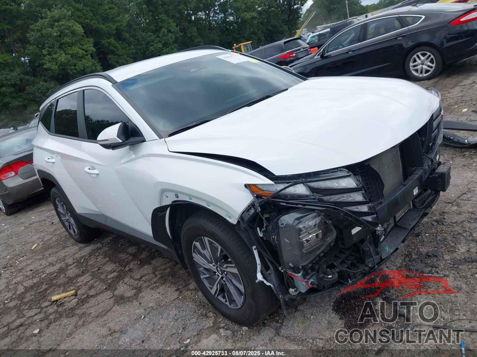 HYUNDAI TUCSON HYBRID 2022 - KM8JBCA17NU052955