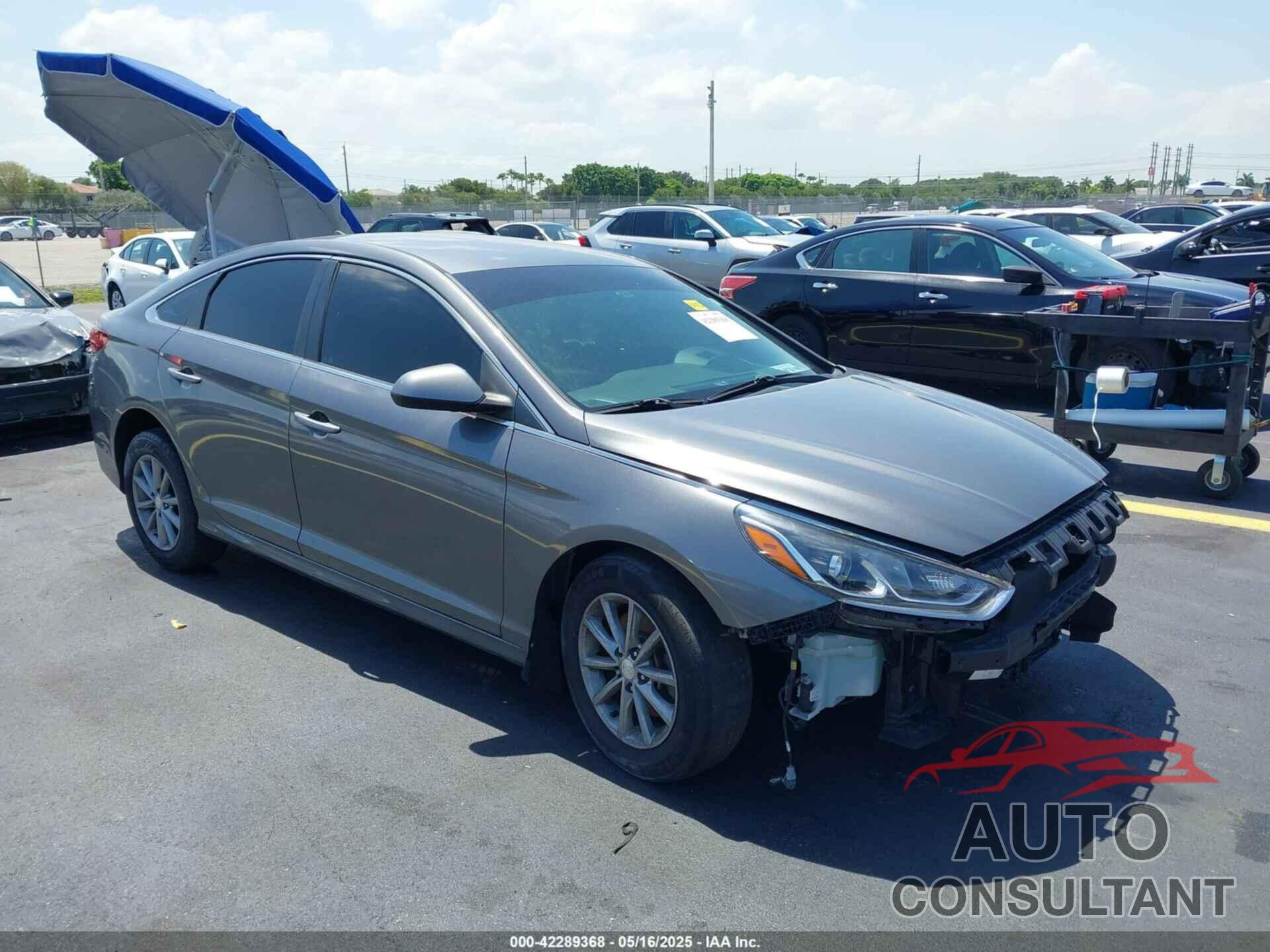 HYUNDAI SONATA 2019 - 5NPE24AF7KH819538
