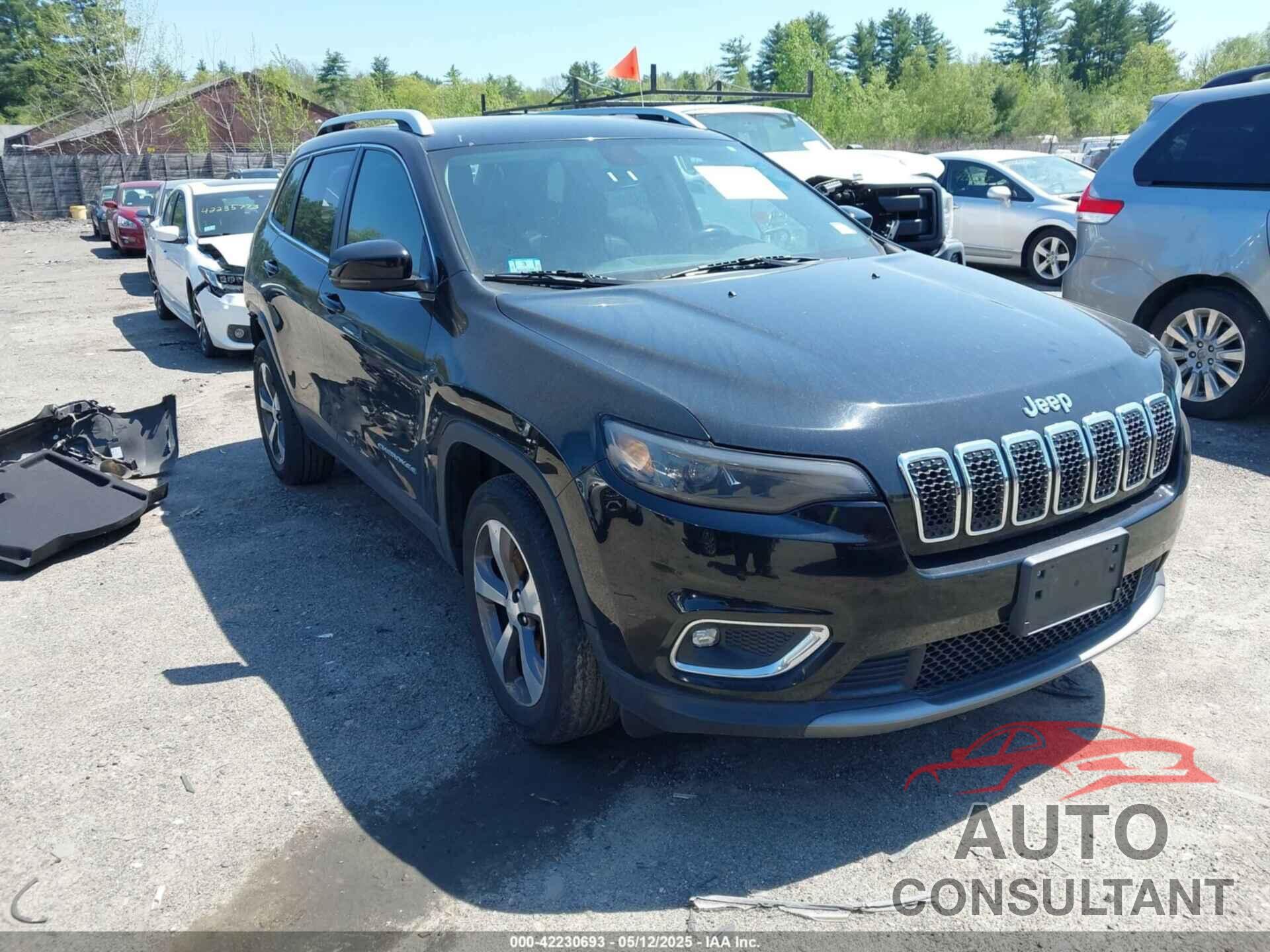 JEEP CHEROKEE 2019 - 1C4PJMDX2KD417030