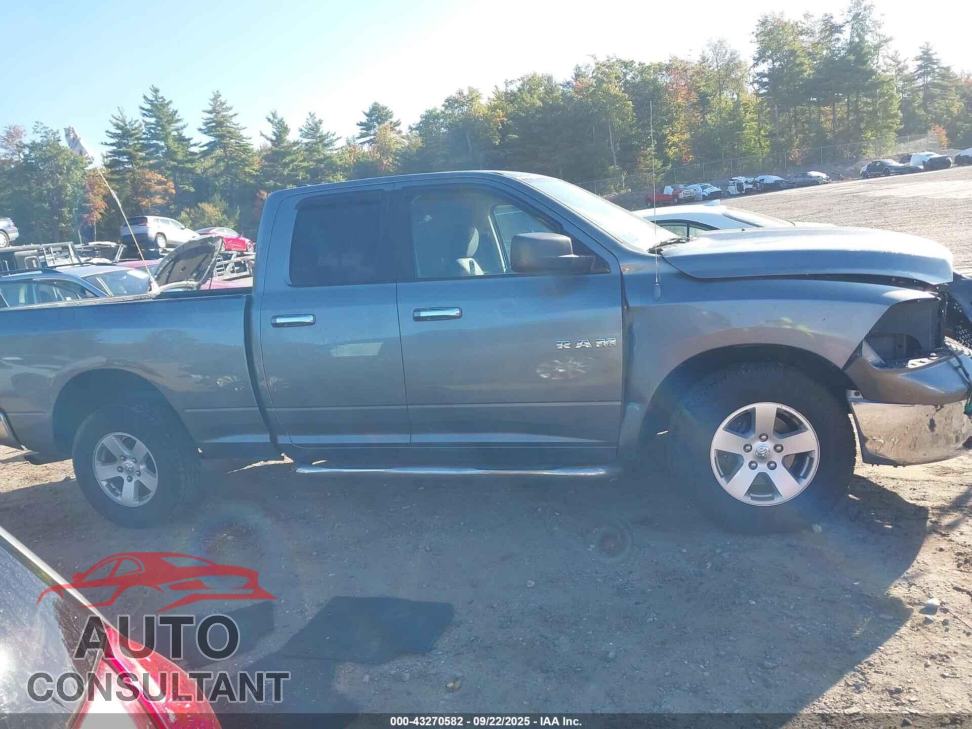 DODGE RAM 1500 2010 - 1D7RB1GP0AS119396