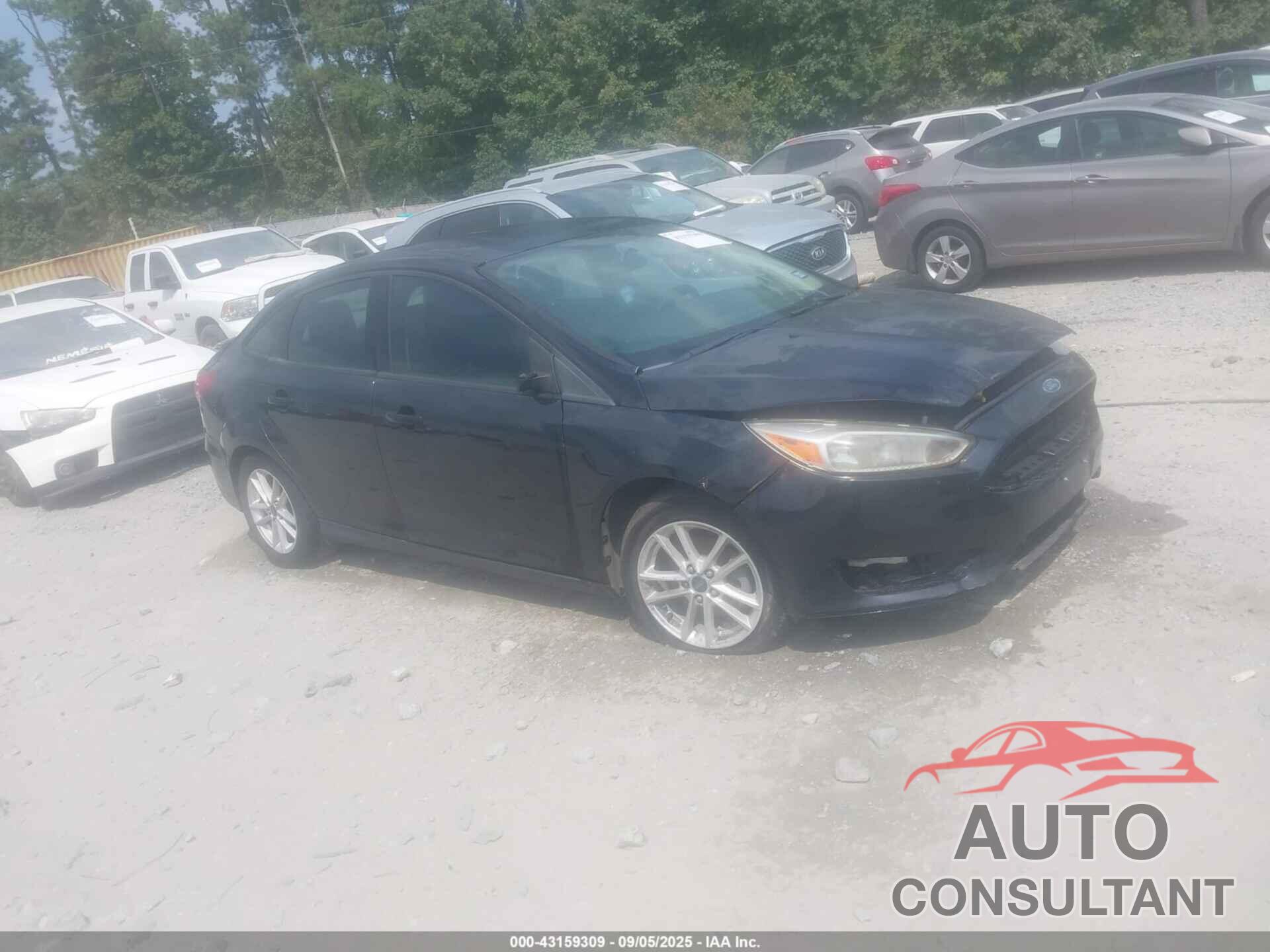FORD FOCUS 2016 - 1FADP3F23GL383373