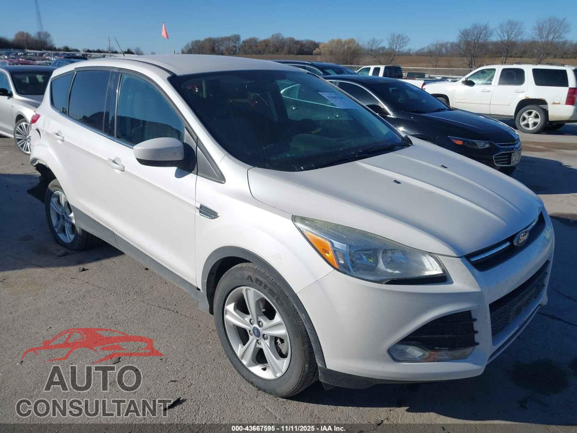 FORD ESCAPE 2014 - 1FMCU9GX4EUB84850