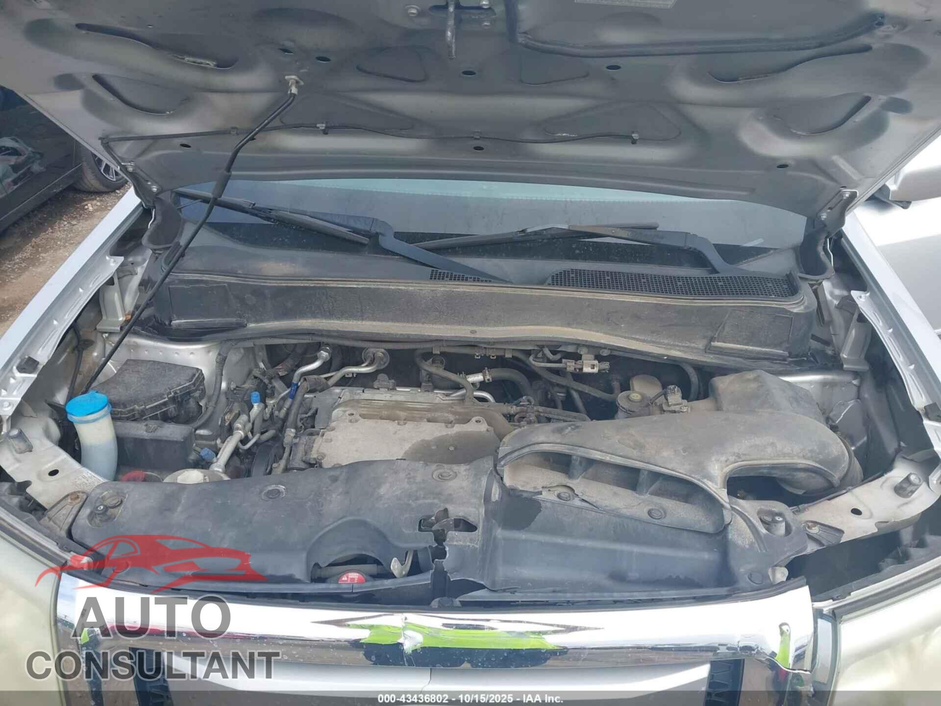 HONDA PILOT 2011 - 5FNYF4H95BB084719