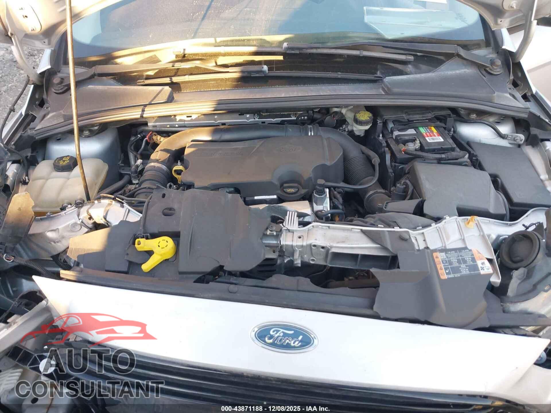 FORD FOCUS 2016 - 1FADP3FE6GL293208