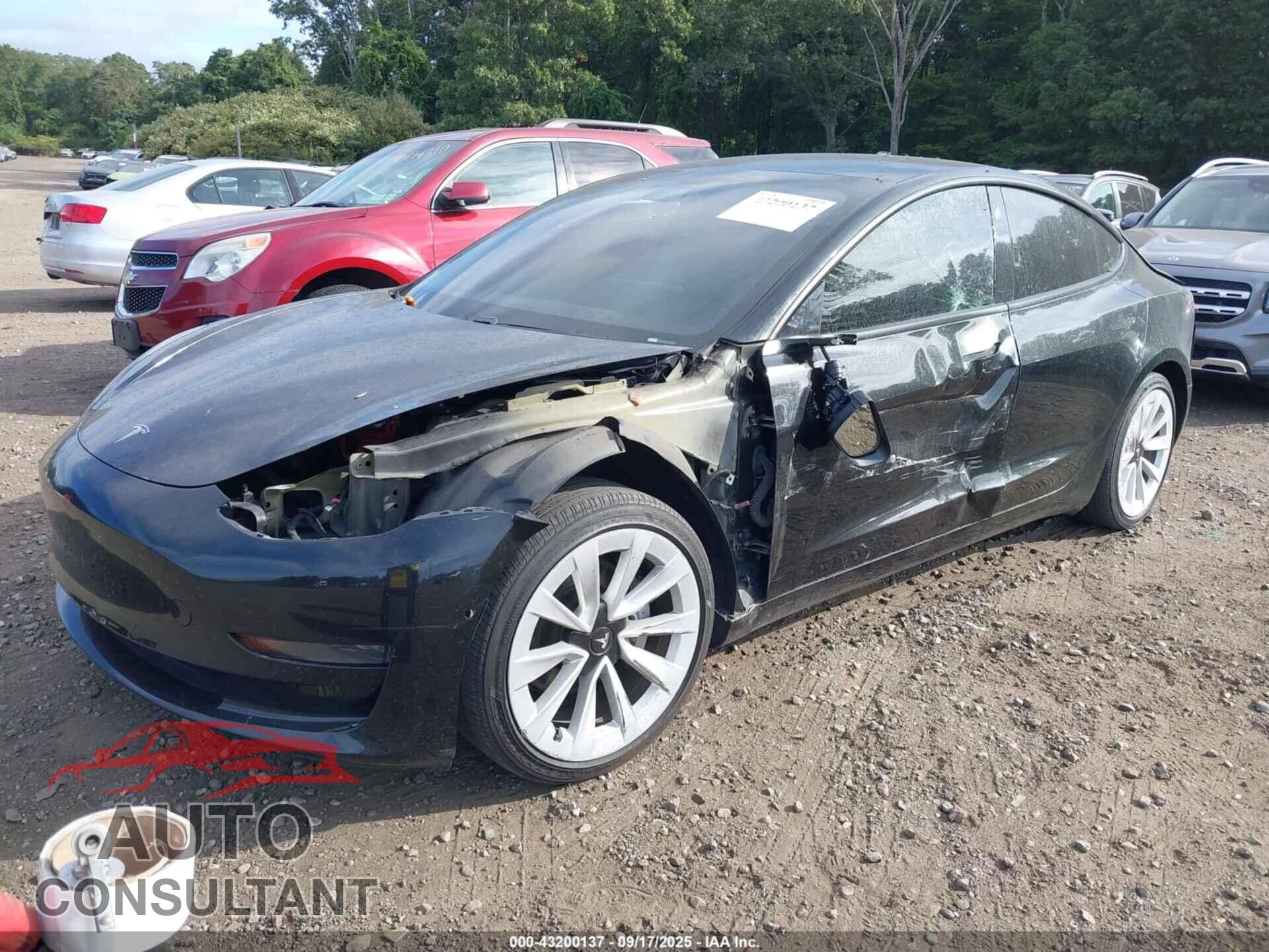 TESLA MODEL 3 2021 - 5YJ3E1EA8MF990702