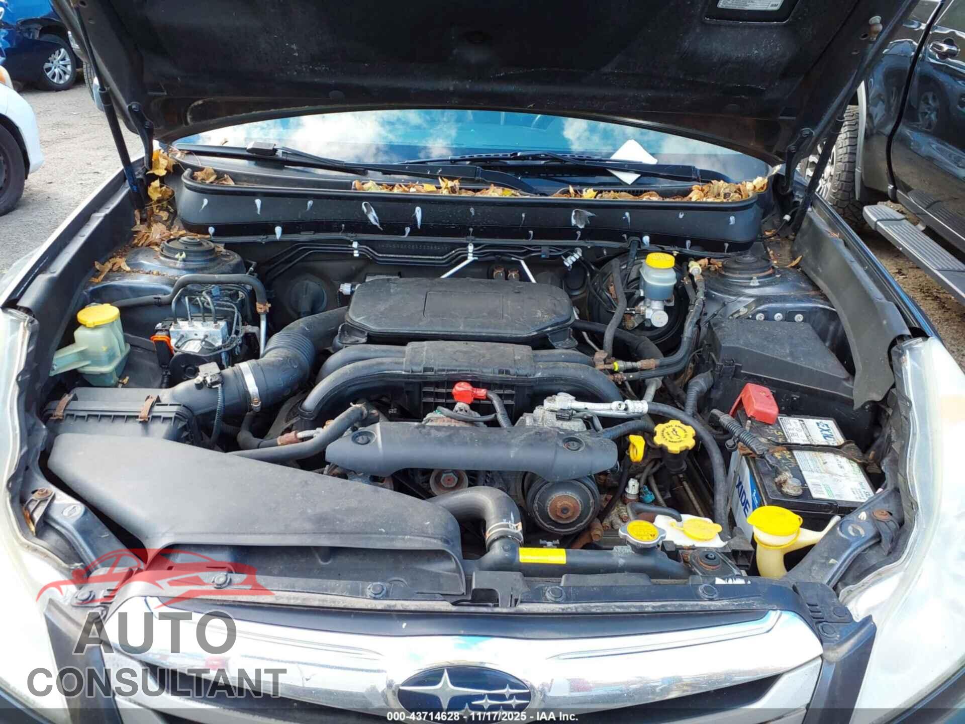 SUBARU OUTBACK 2010 - 4S4BRBKC5A3338541