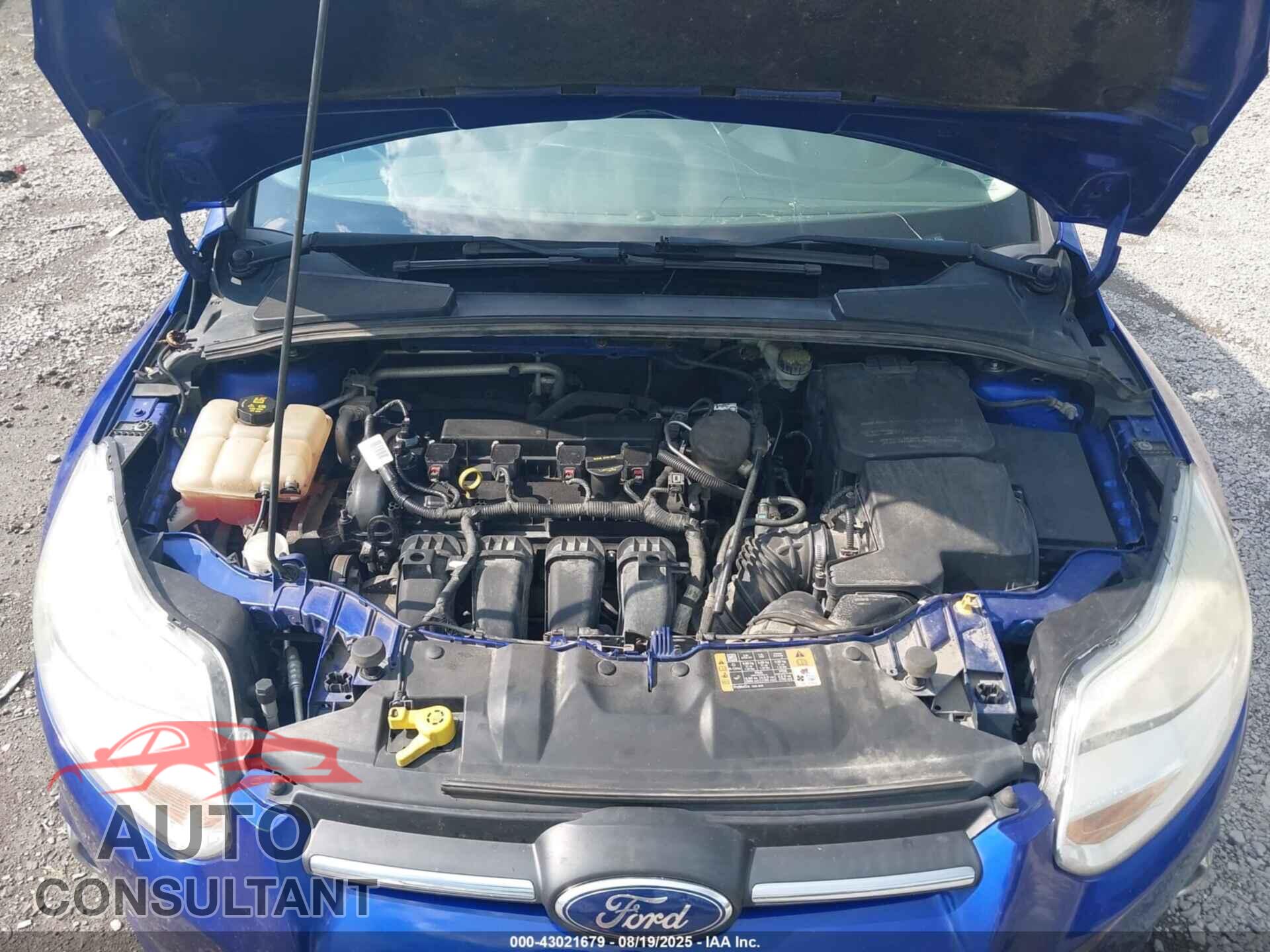 FORD FOCUS 2014 - 1FADP3F21EL299341