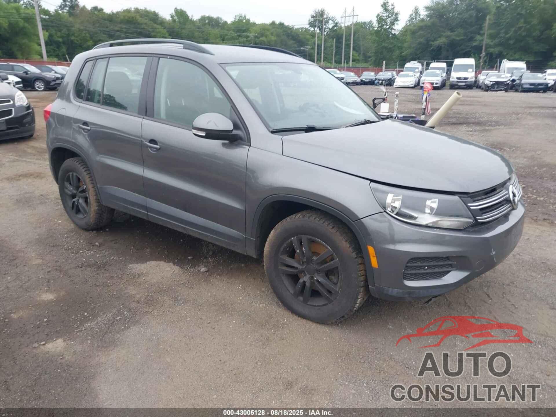VOLKSWAGEN TIGUAN 2016 - WVGBV7AXXGW525276