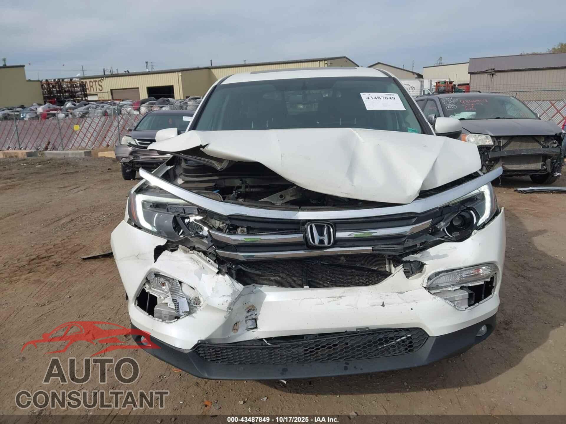 HONDA PILOT 2017 - 5FNYF5H51HB041880