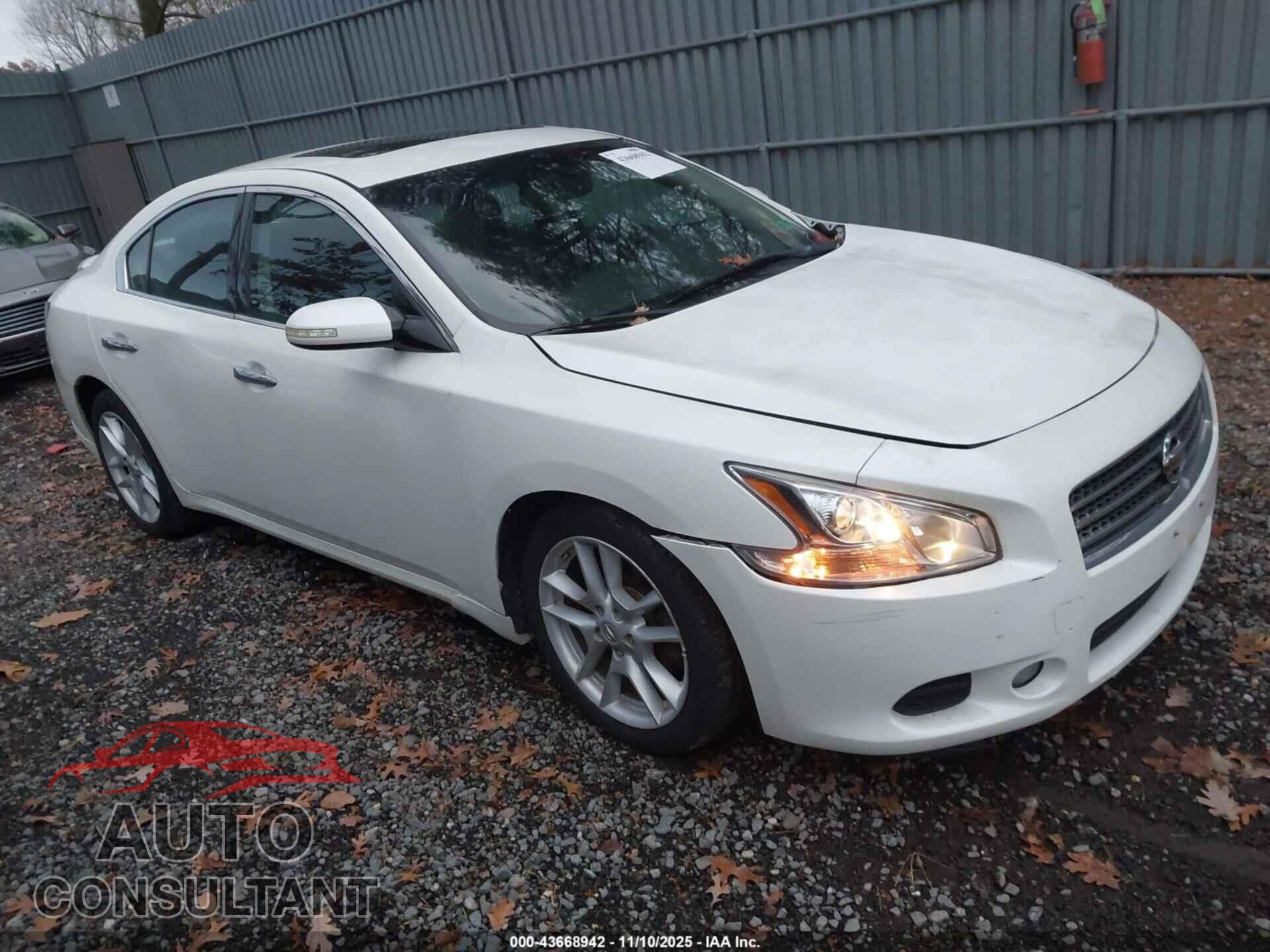 NISSAN MAXIMA 2013 - 1N4AA5AP1DC824822