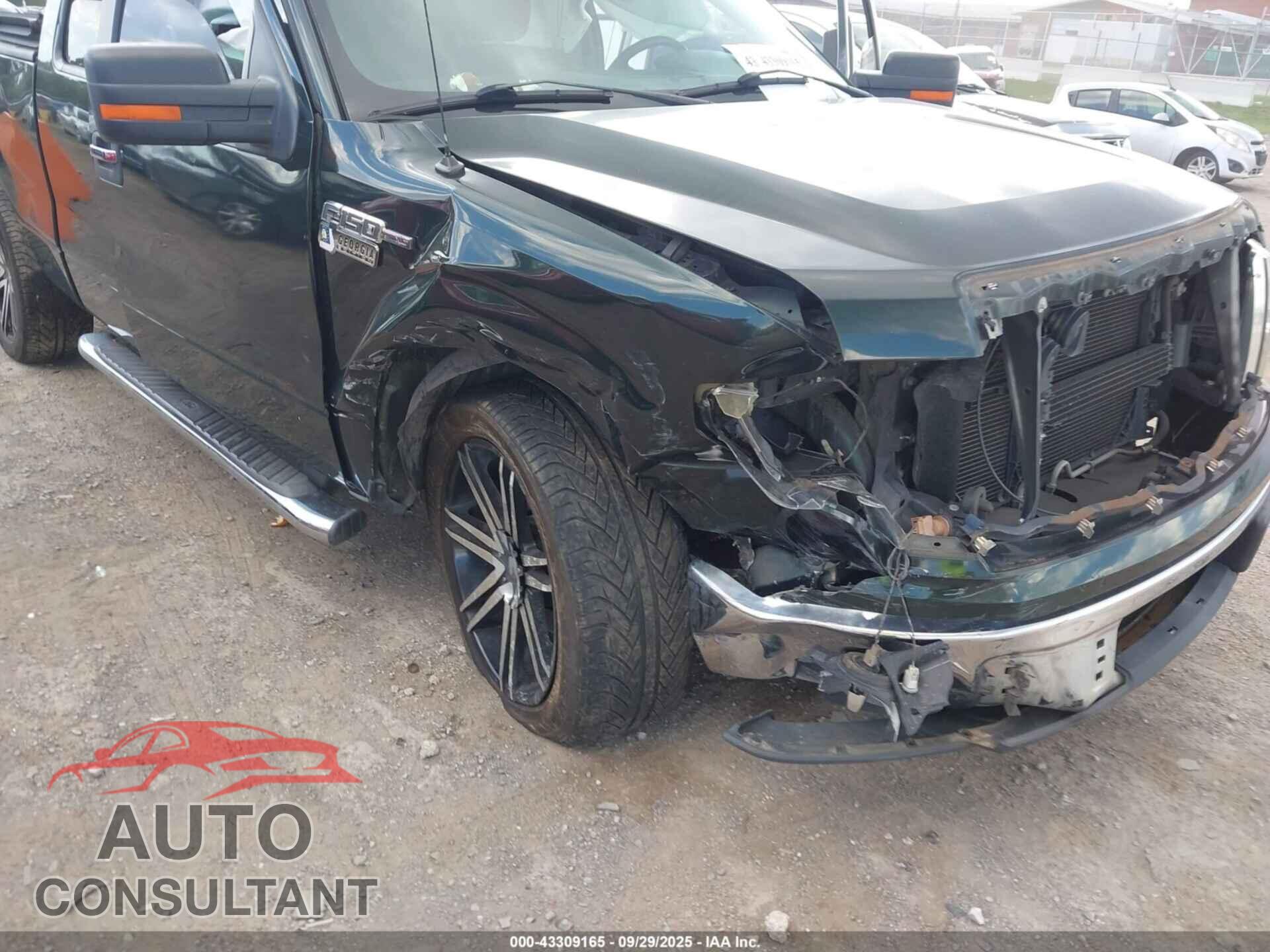 FORD F-150 2012 - 1FTFX1CF3CFB20498