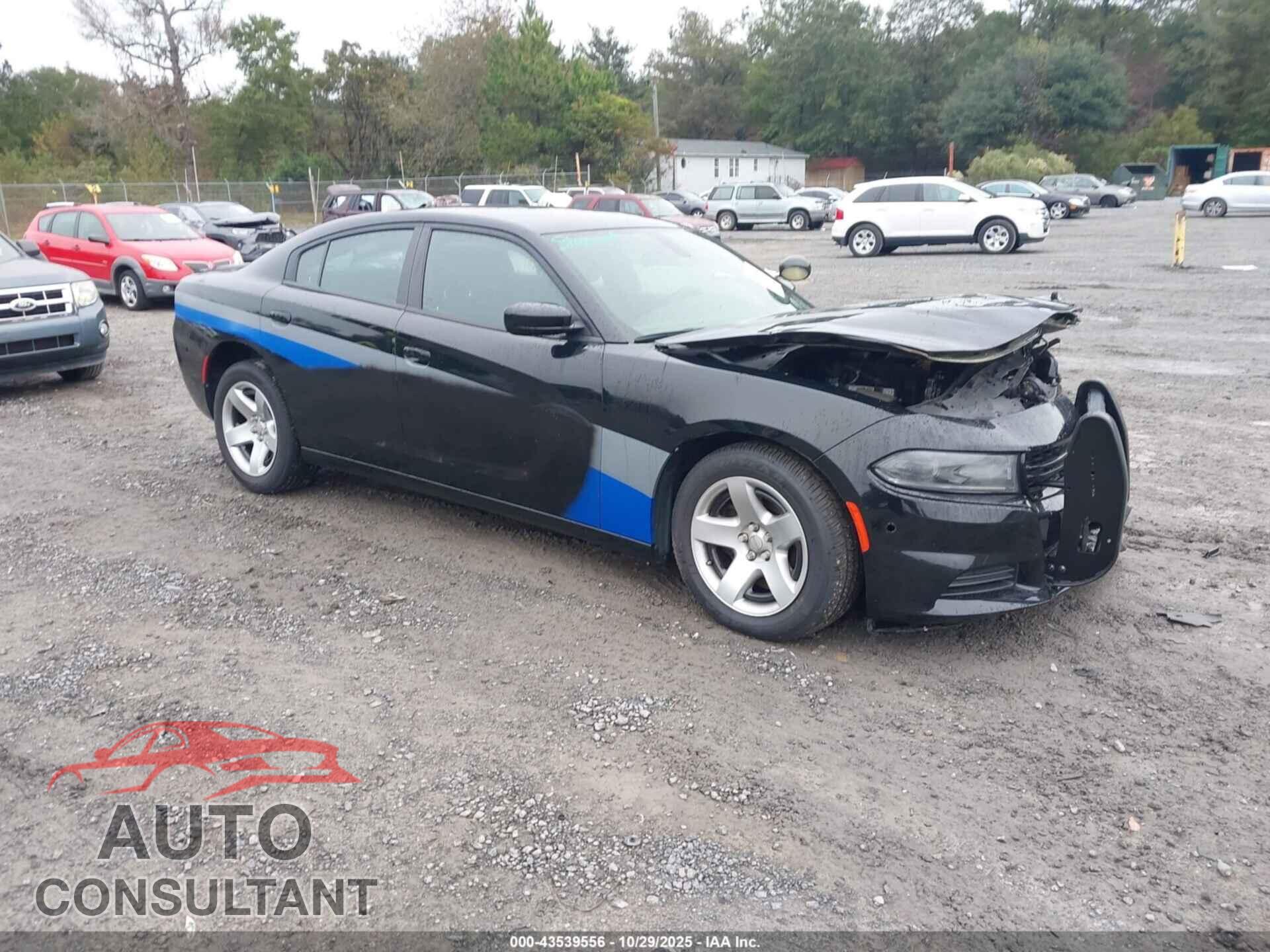 DODGE CHARGER 2021 - 2C3CDXAT3MH668447