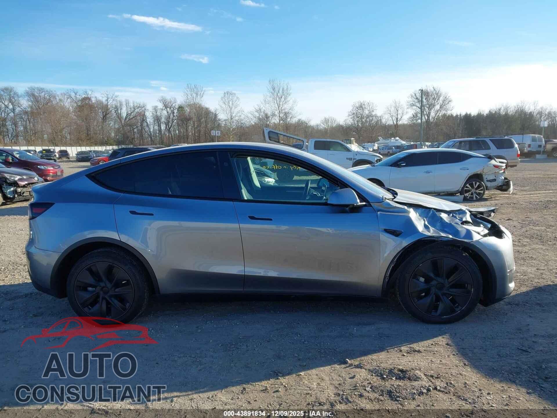 TESLA MODEL Y 2024 - 7SAYGDEEXRA313016