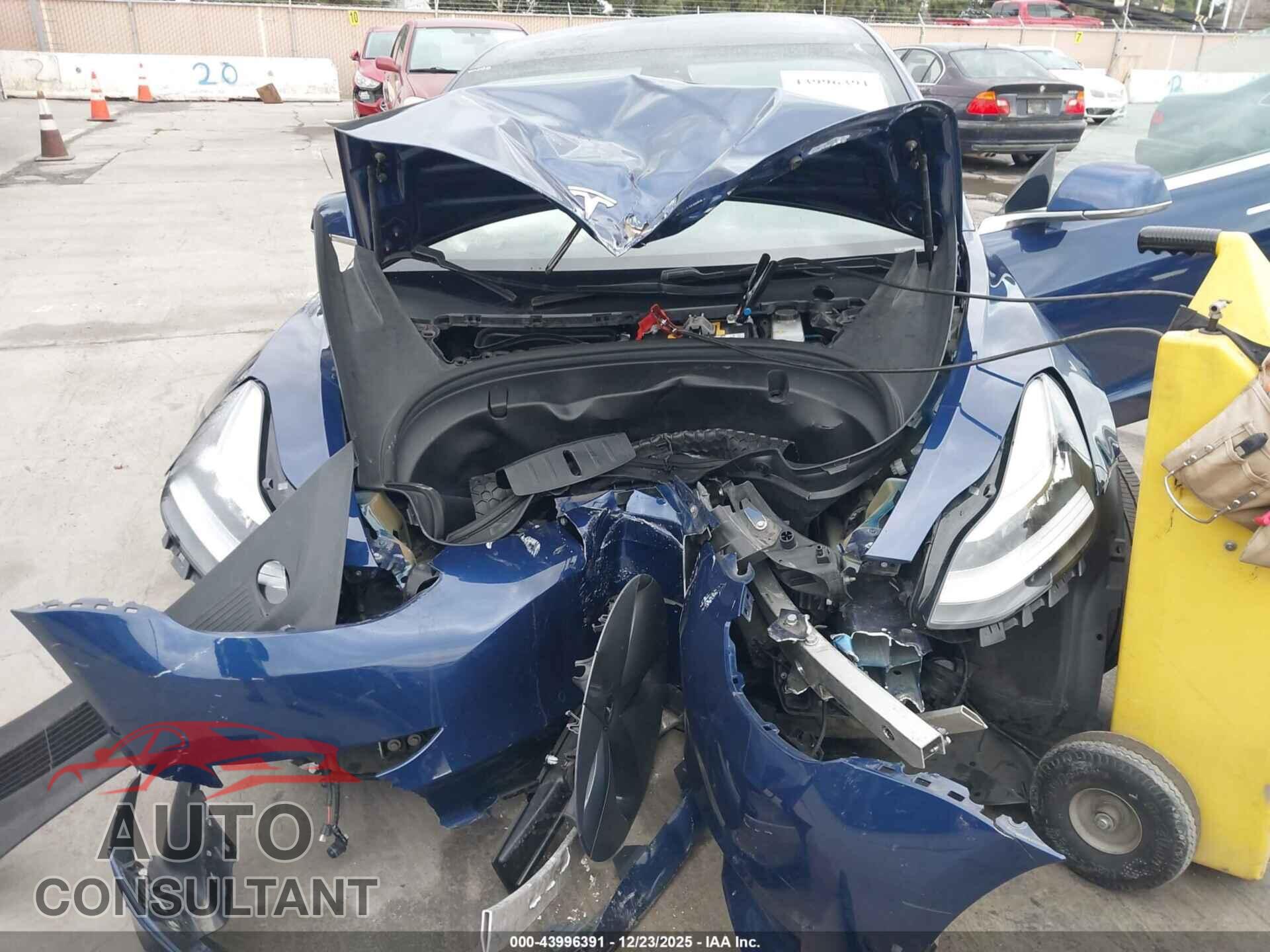 TESLA MODEL 3 2019 - 5YJ3E1EA2KF299534