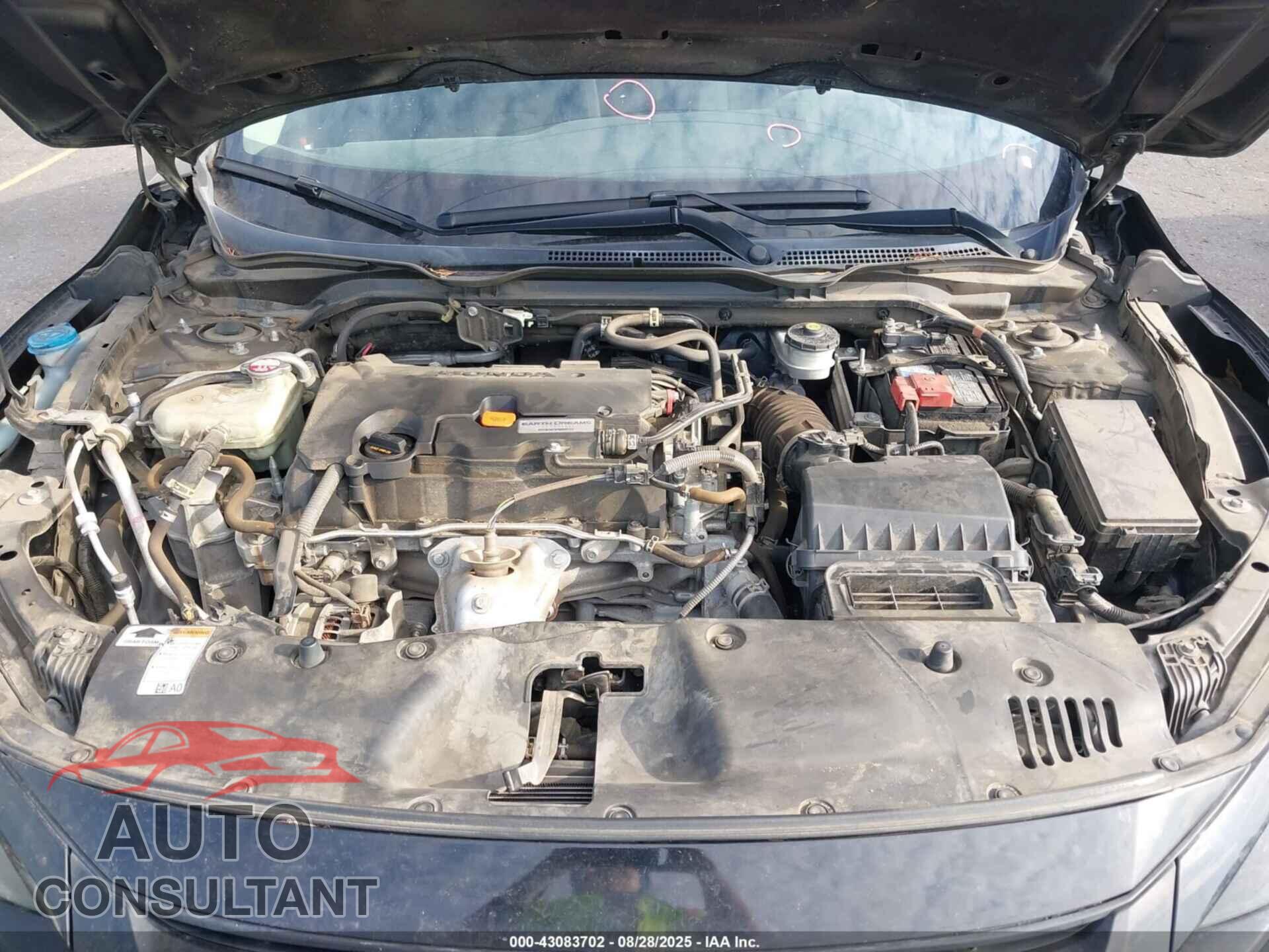 HONDA CIVIC 2019 - 2HGFC2F63KH506480