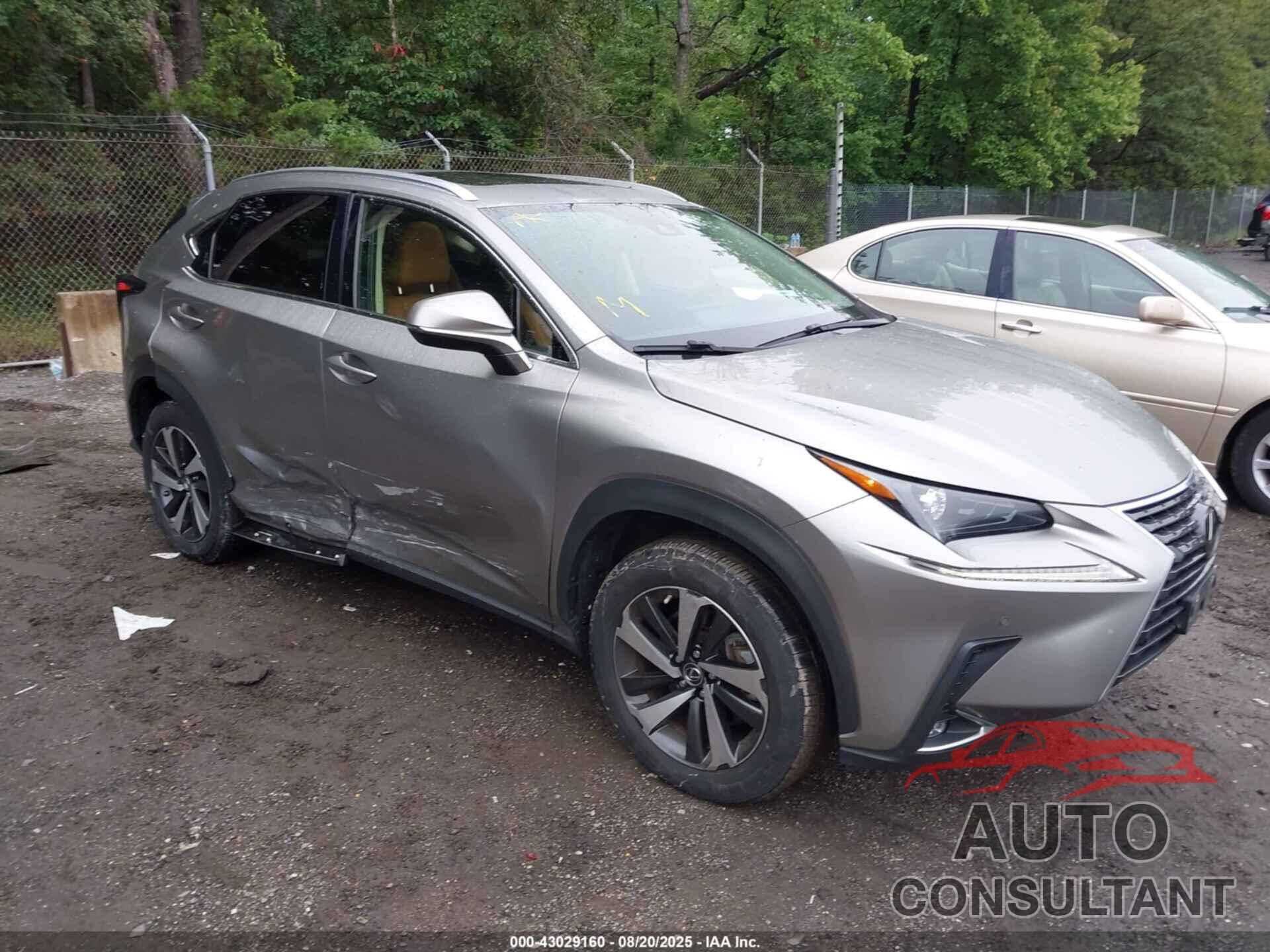 LEXUS NX 300 2021 - JTJGARDZ2M2258276