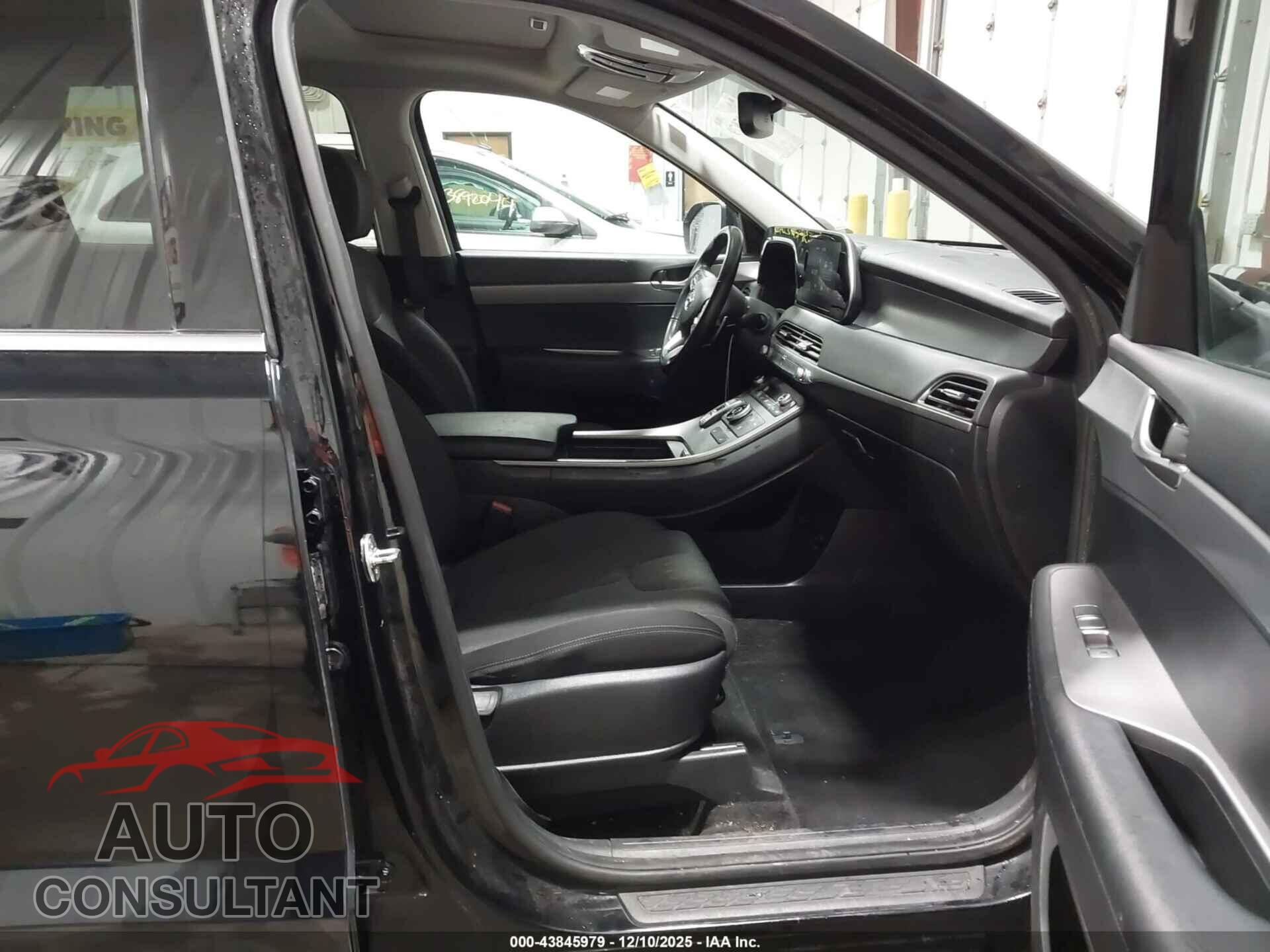 HYUNDAI PALISADE 2020 - KM8R3DHEXLU093382