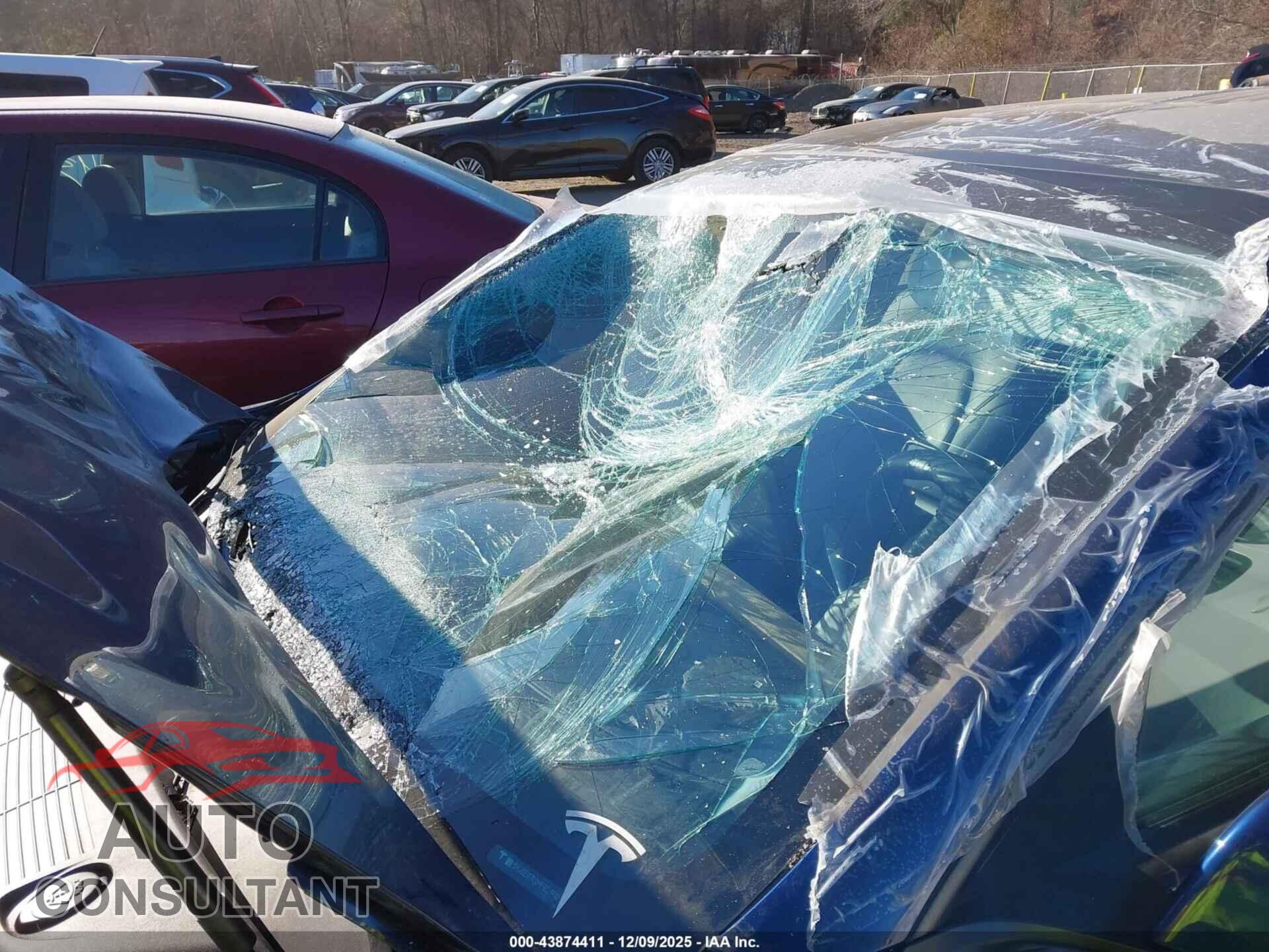 TESLA MODEL 3 2021 - 5YJ3E1EA3MF854641