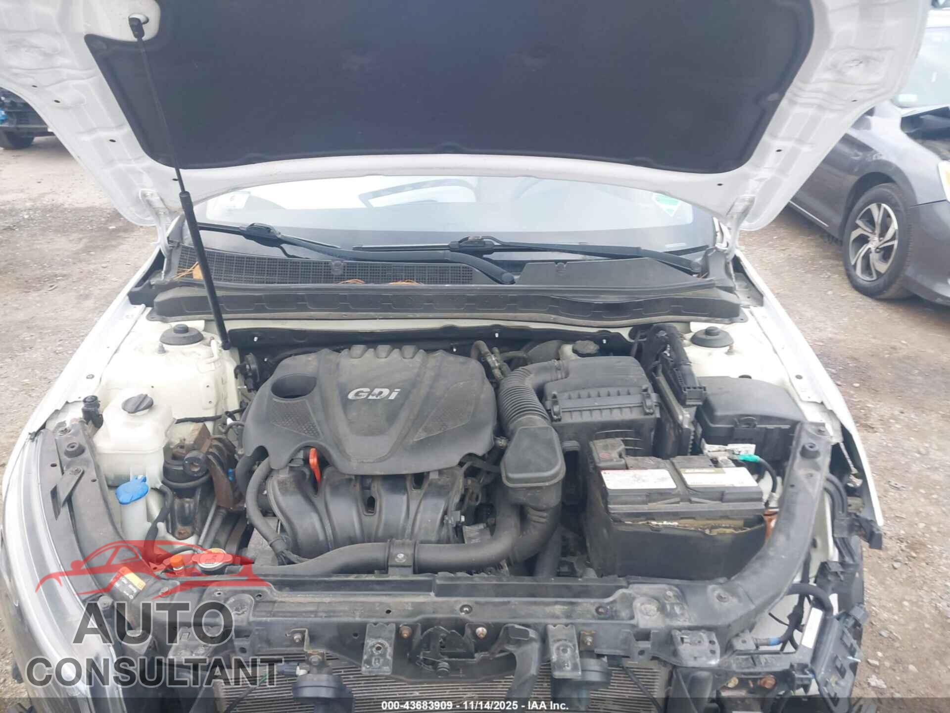 KIA OPTIMA 2014 - KNAGM4A70E5519465