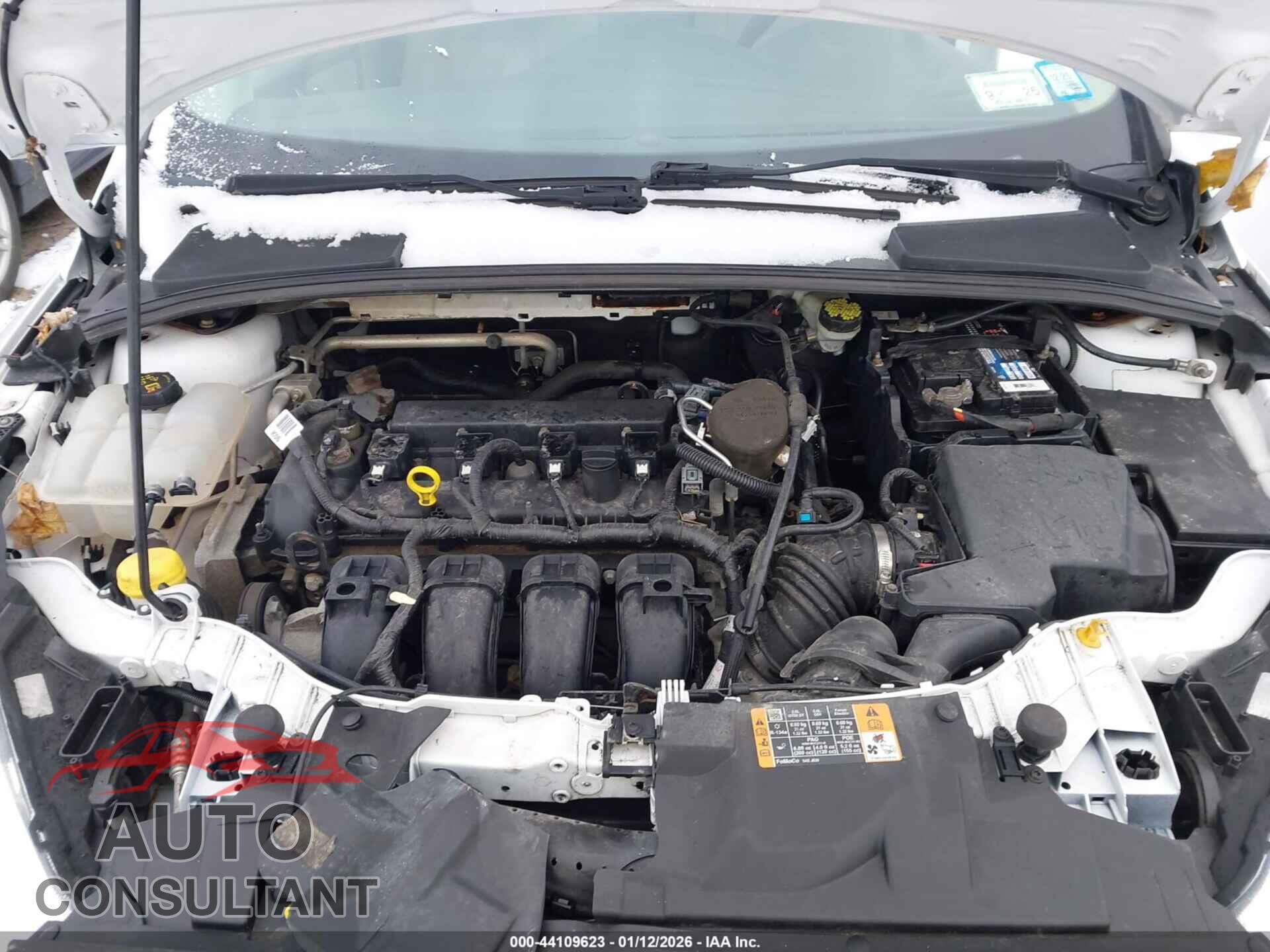 FORD FOCUS 2016 - 1FADP3F25GL219249
