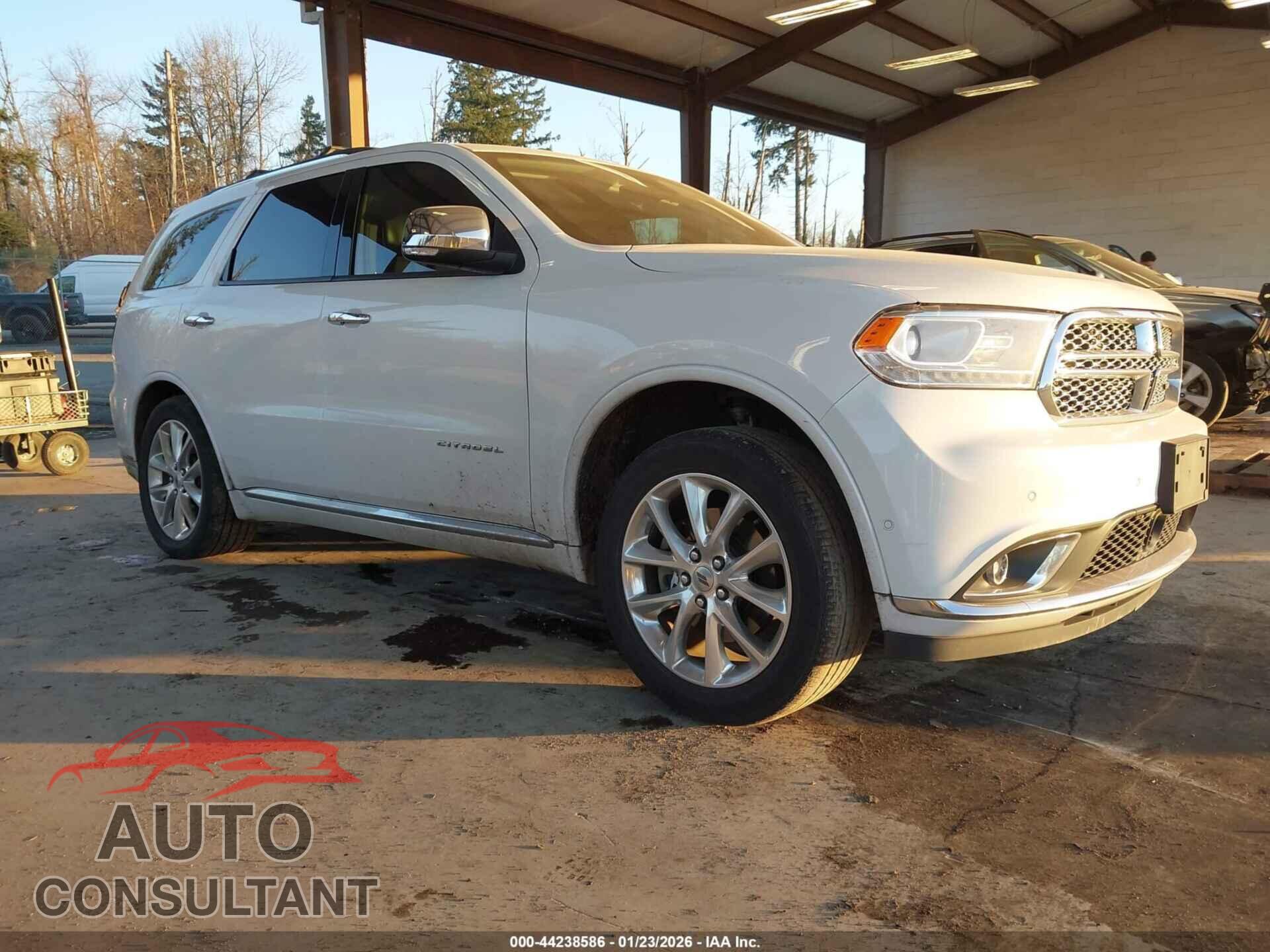 DODGE DURANGO 2019 - 1C4RDJEG2KC738259