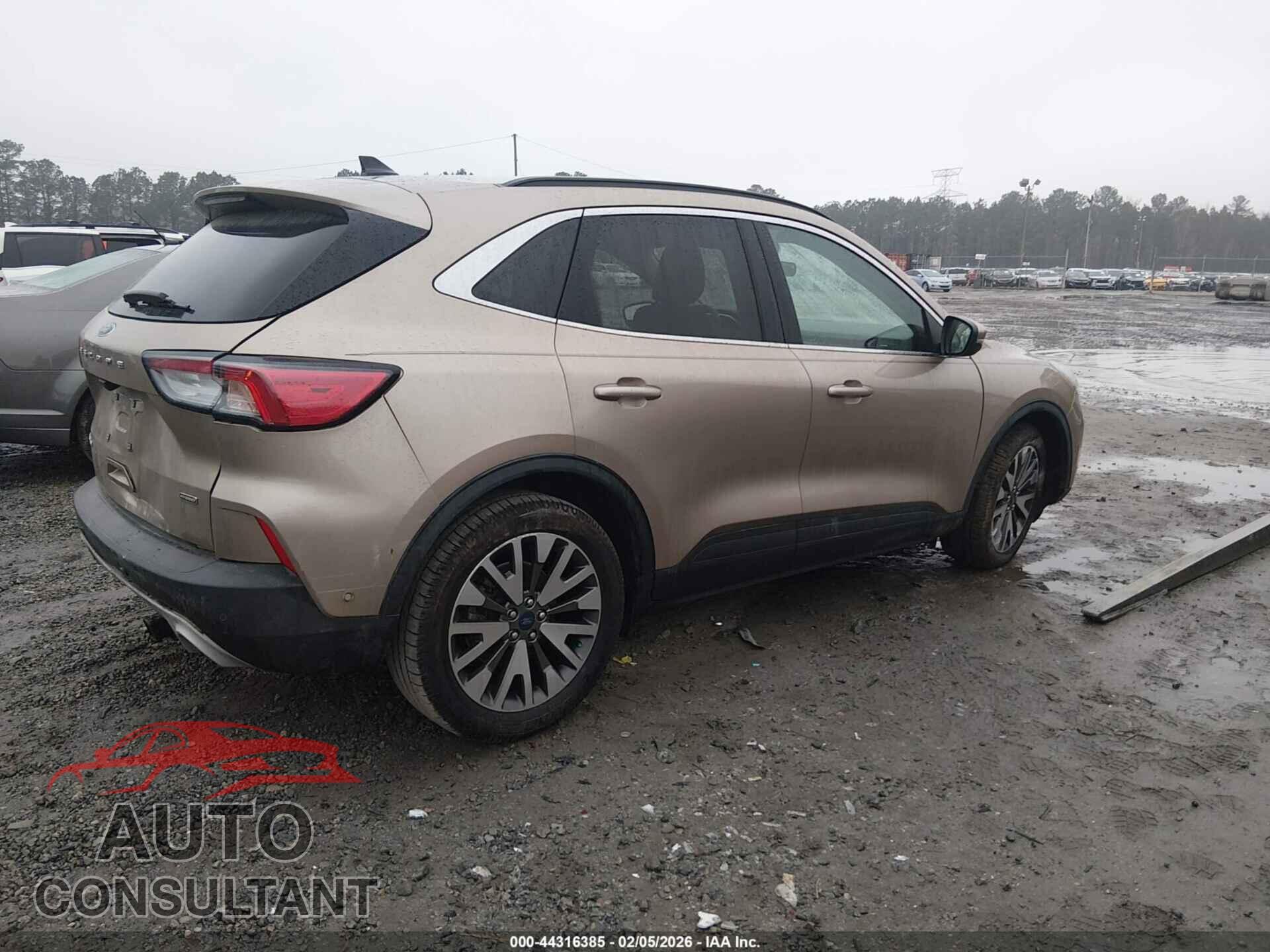 FORD ESCAPE 2020 - 1FMCU0DZ7LUA39655