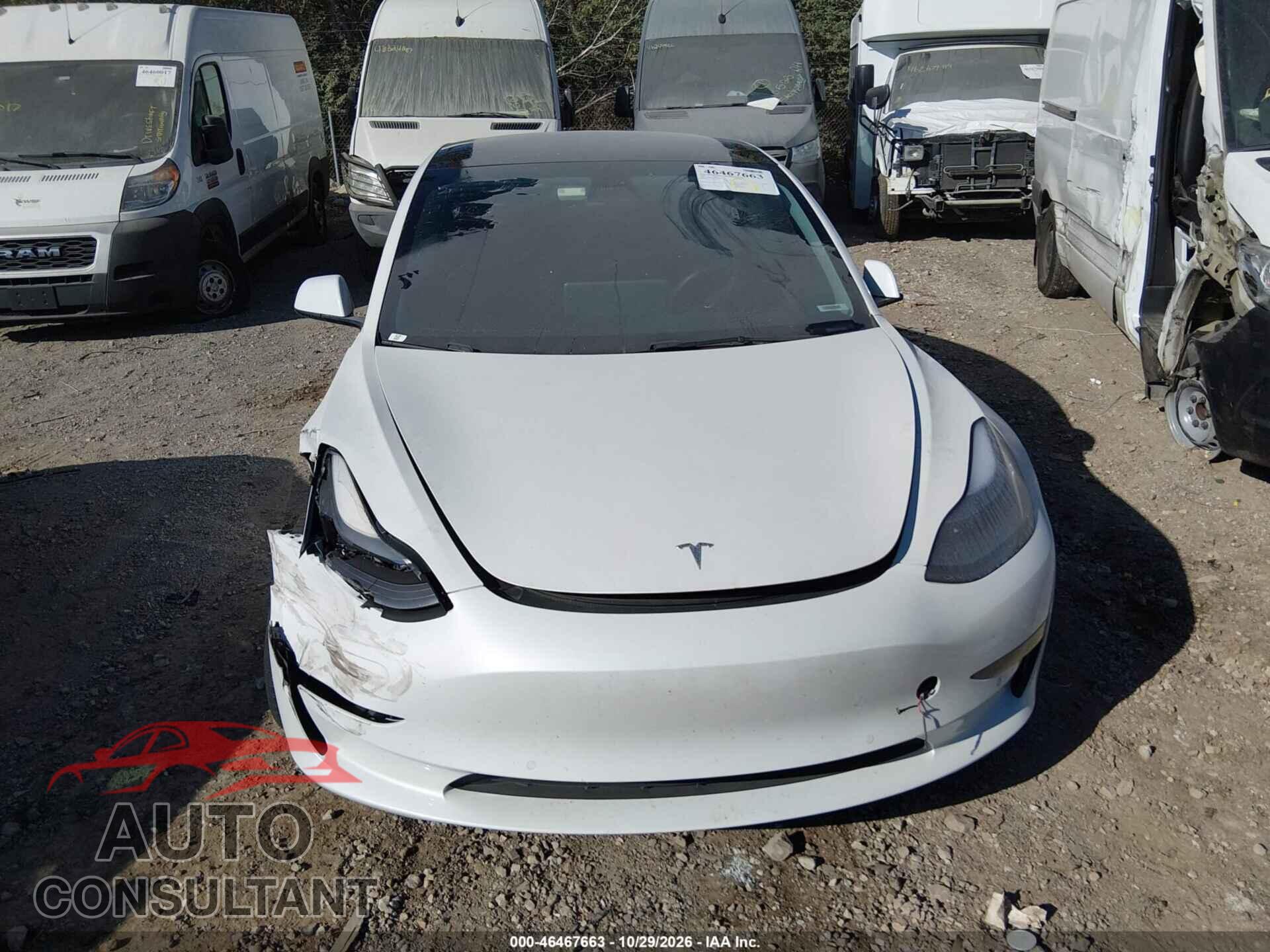 TESLA MODEL 3 2021 - 5YJ3E1EA2MF942676