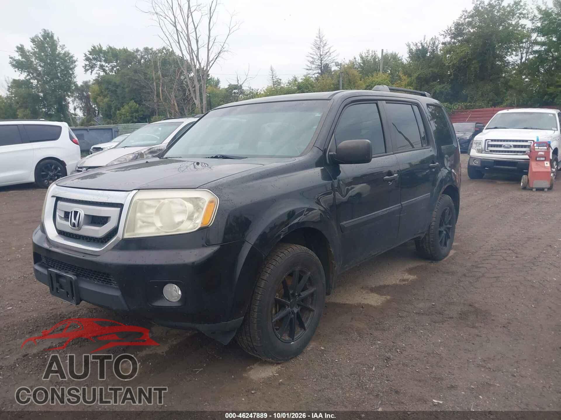 HONDA PILOT 2011 - 5FNYF4H23BB507588