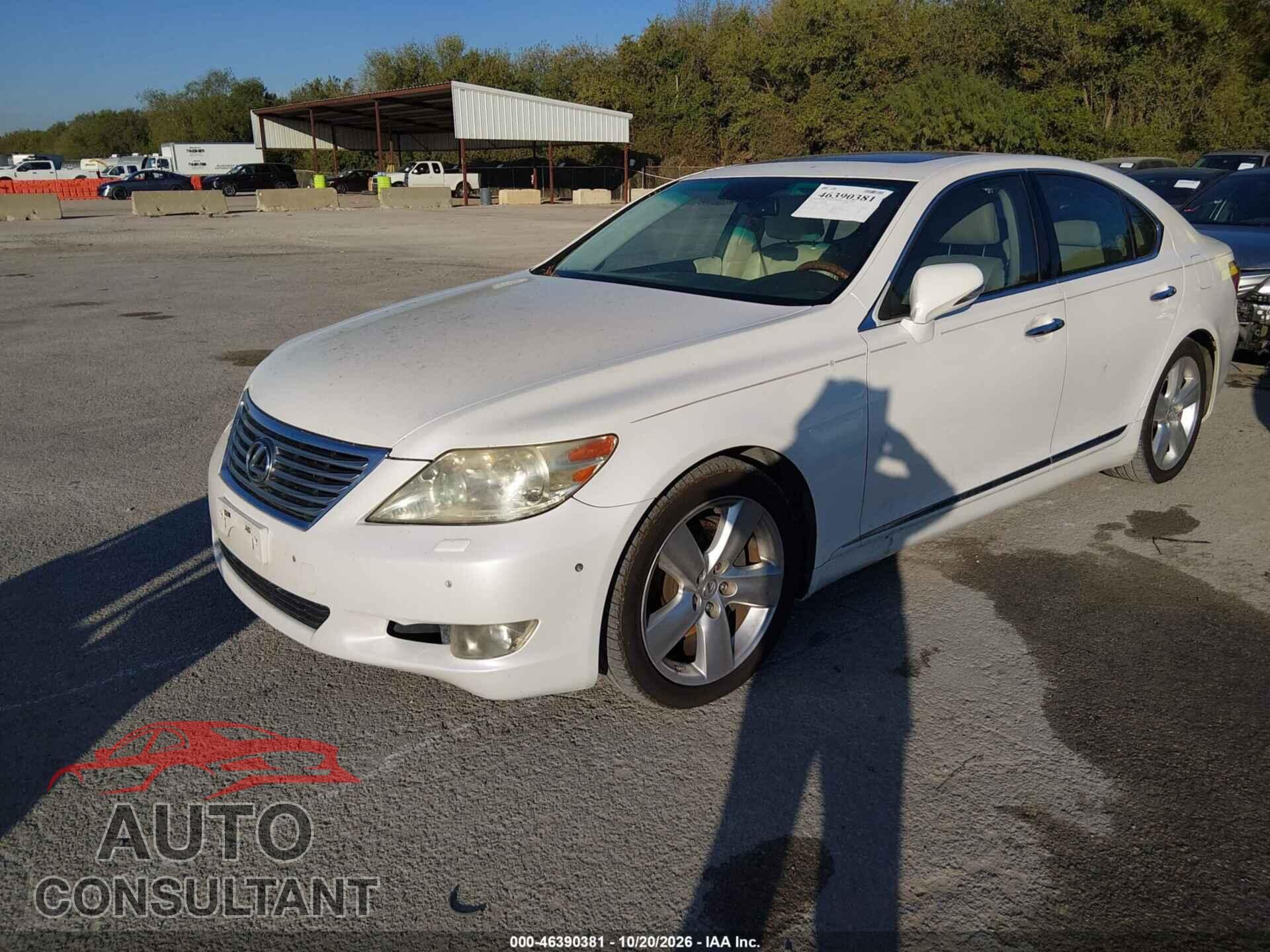 LEXUS LS 460 2011 - JTHBL5EF3B5105226