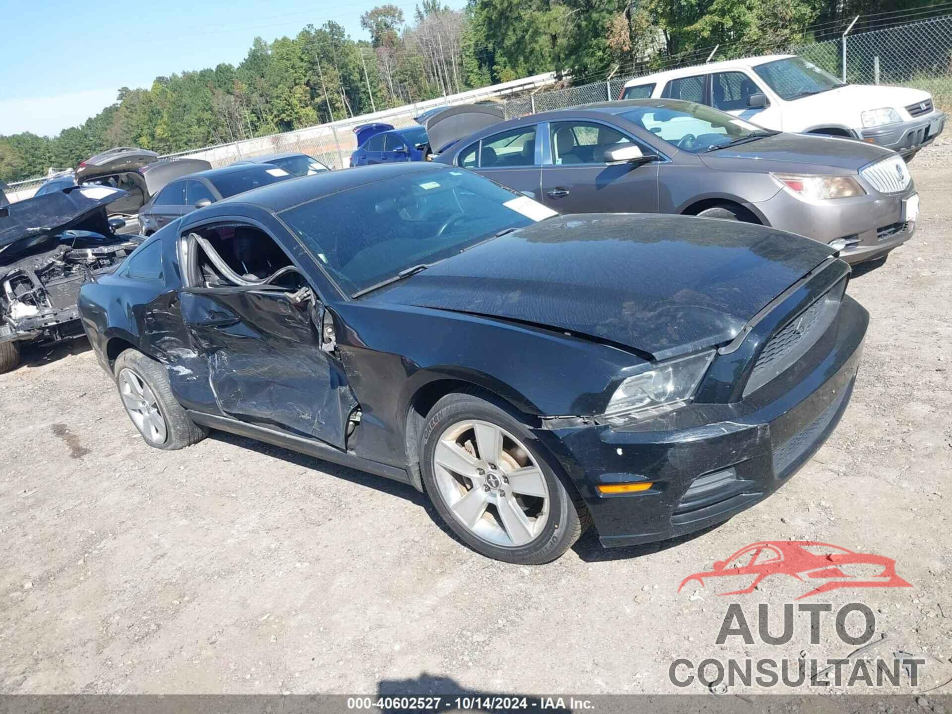 FORD MUSTANG 2014 - 1ZVBP8AM1E5223918