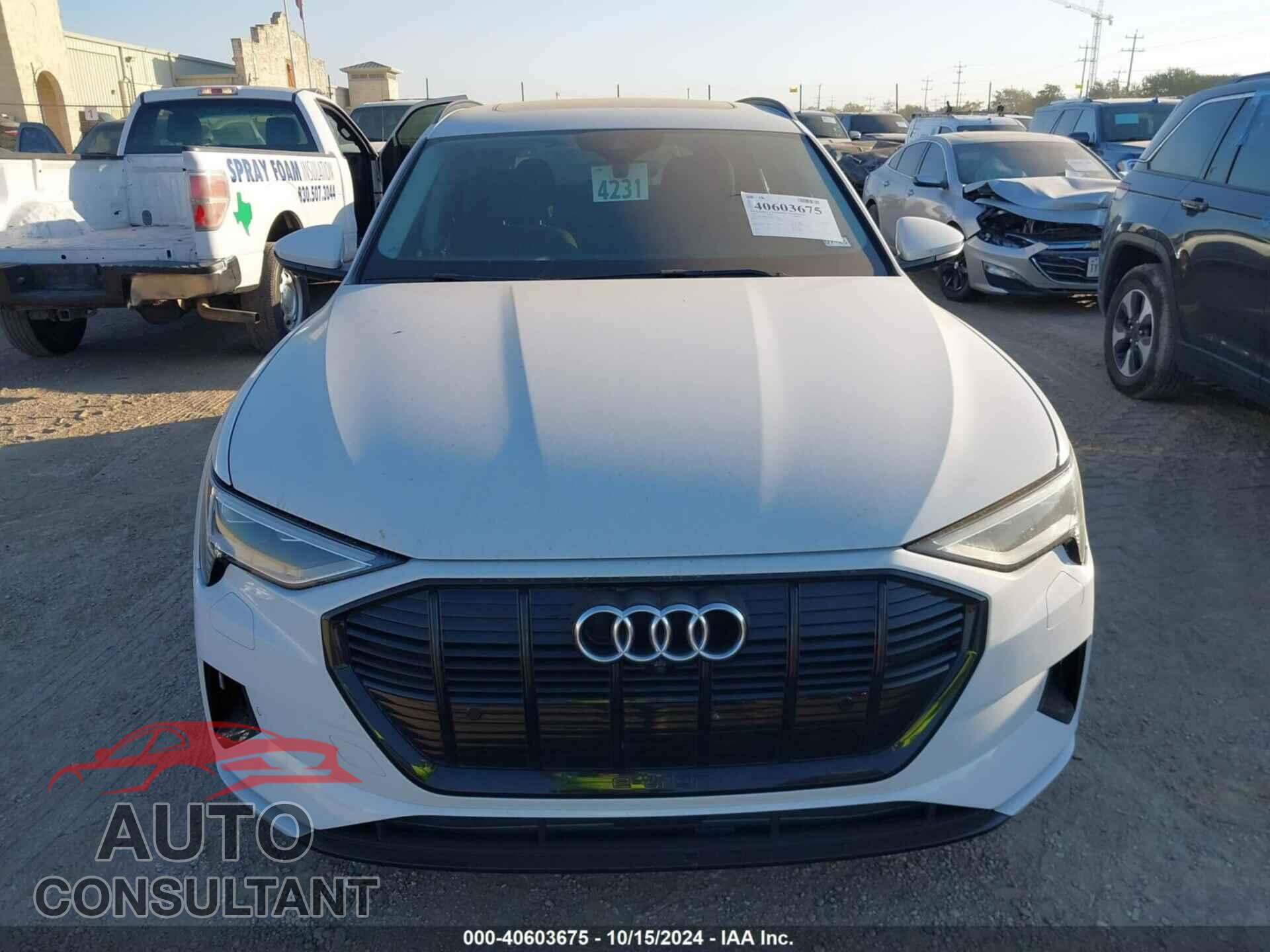 AUDI E-TRON 2021 - WA1AAAGEXMB013643
