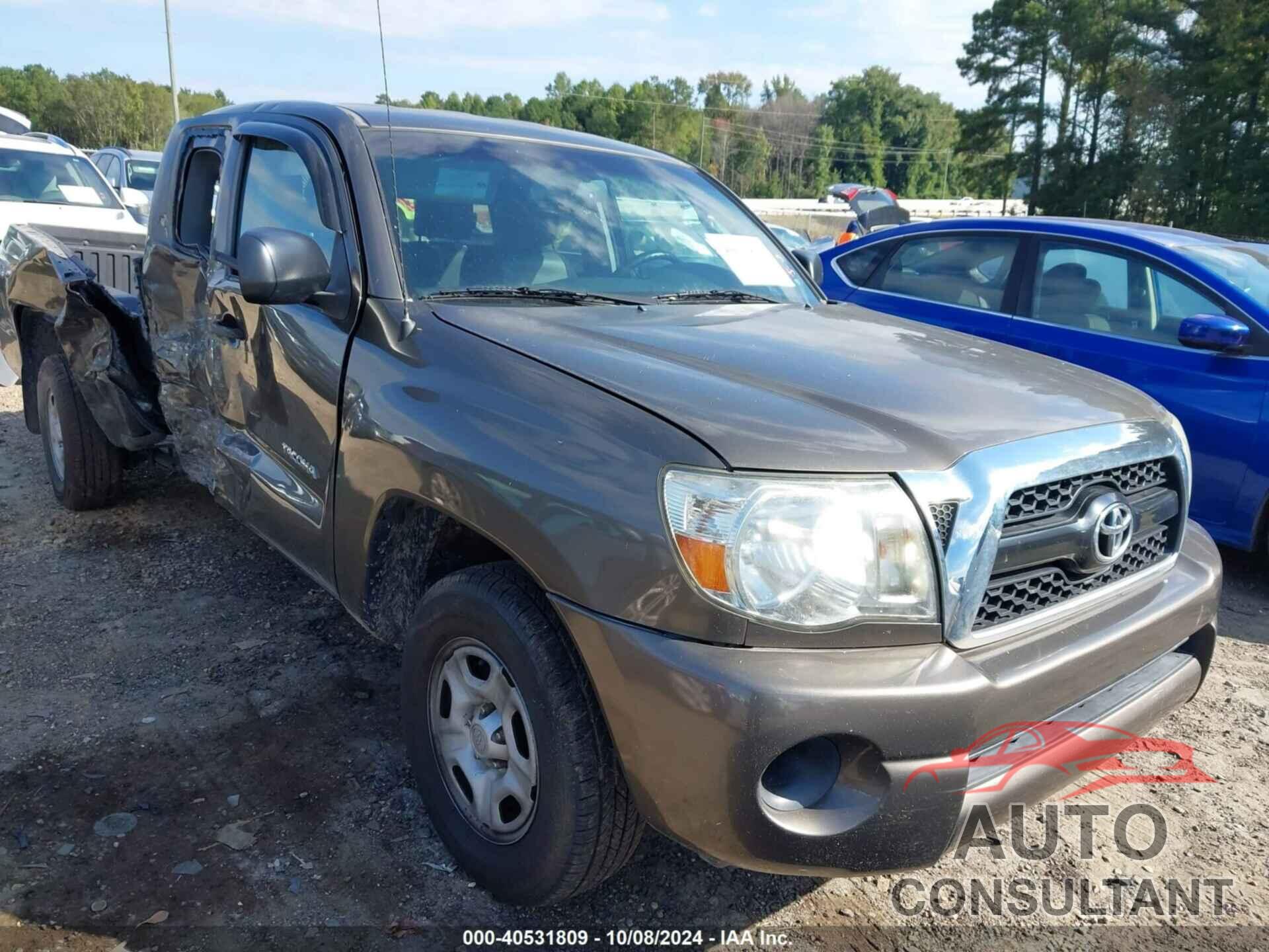 TOYOTA TACOMA 2011 - 5TFTX4CN6BX008556