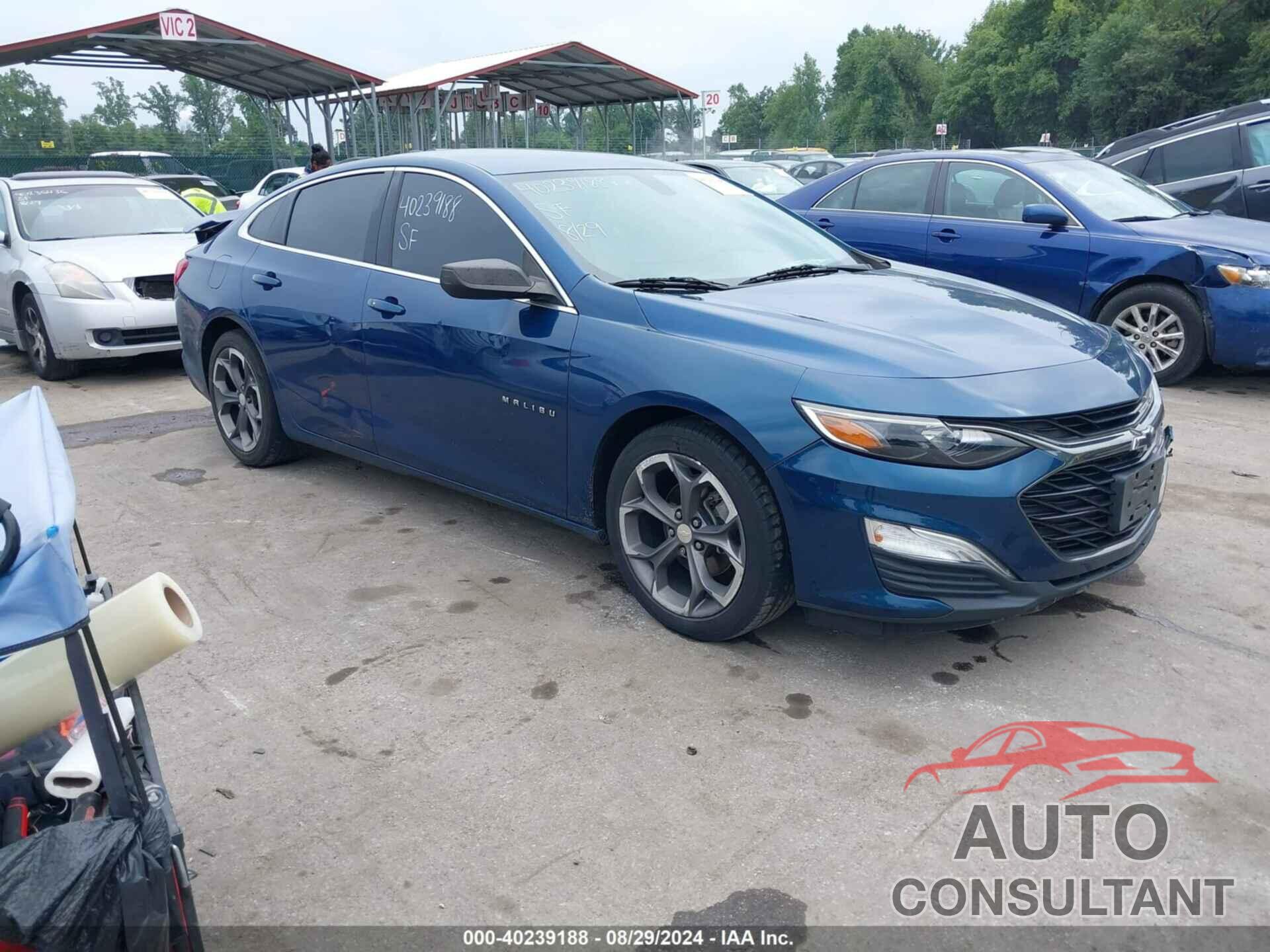 CHEVROLET MALIBU 2019 - 1G1ZG5STXKF205826