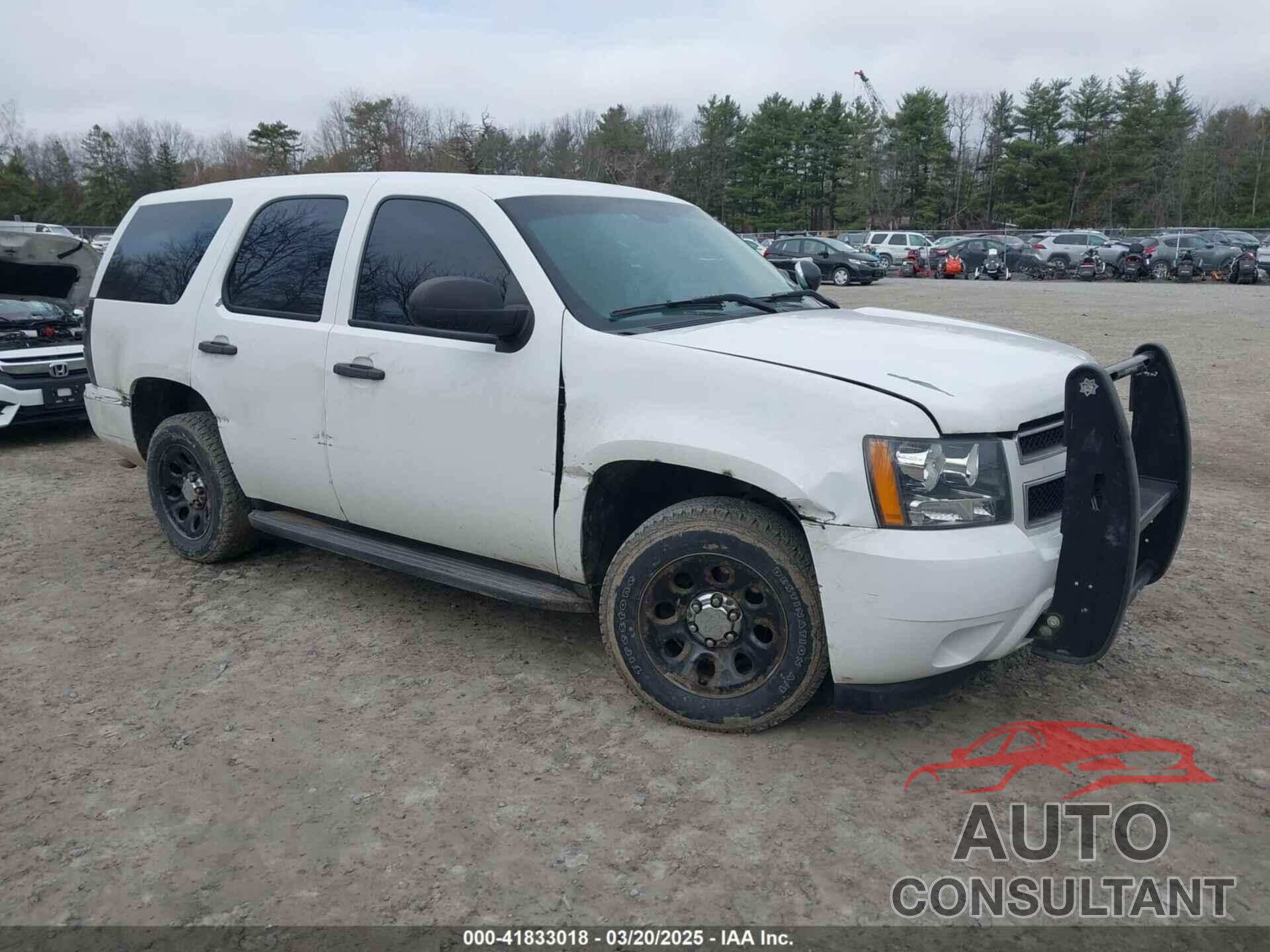 CHEVROLET TAHOE 2009 - 1GNEC03009R269690