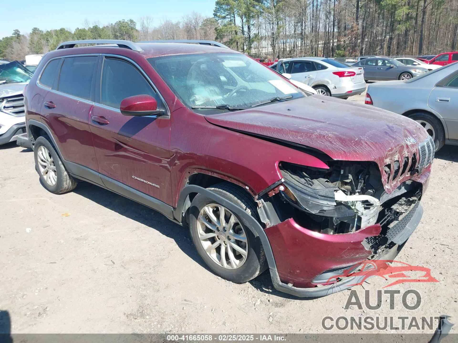 JEEP CHEROKEE 2019 - 1C4PJLCB1KD406245