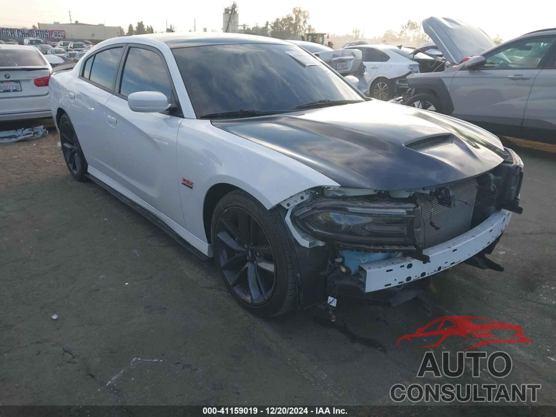 DODGE CHARGER 2019 - 2C3CDXGJ9KH716309