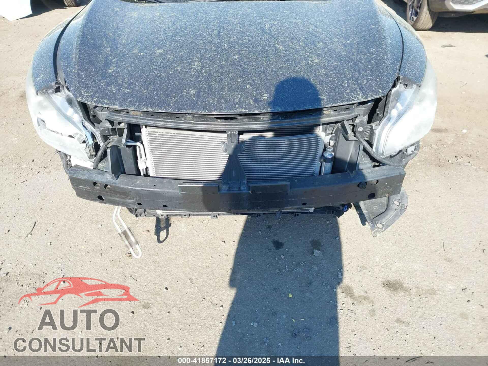 NISSAN MAXIMA 2009 - 1N4AA51E69C822117